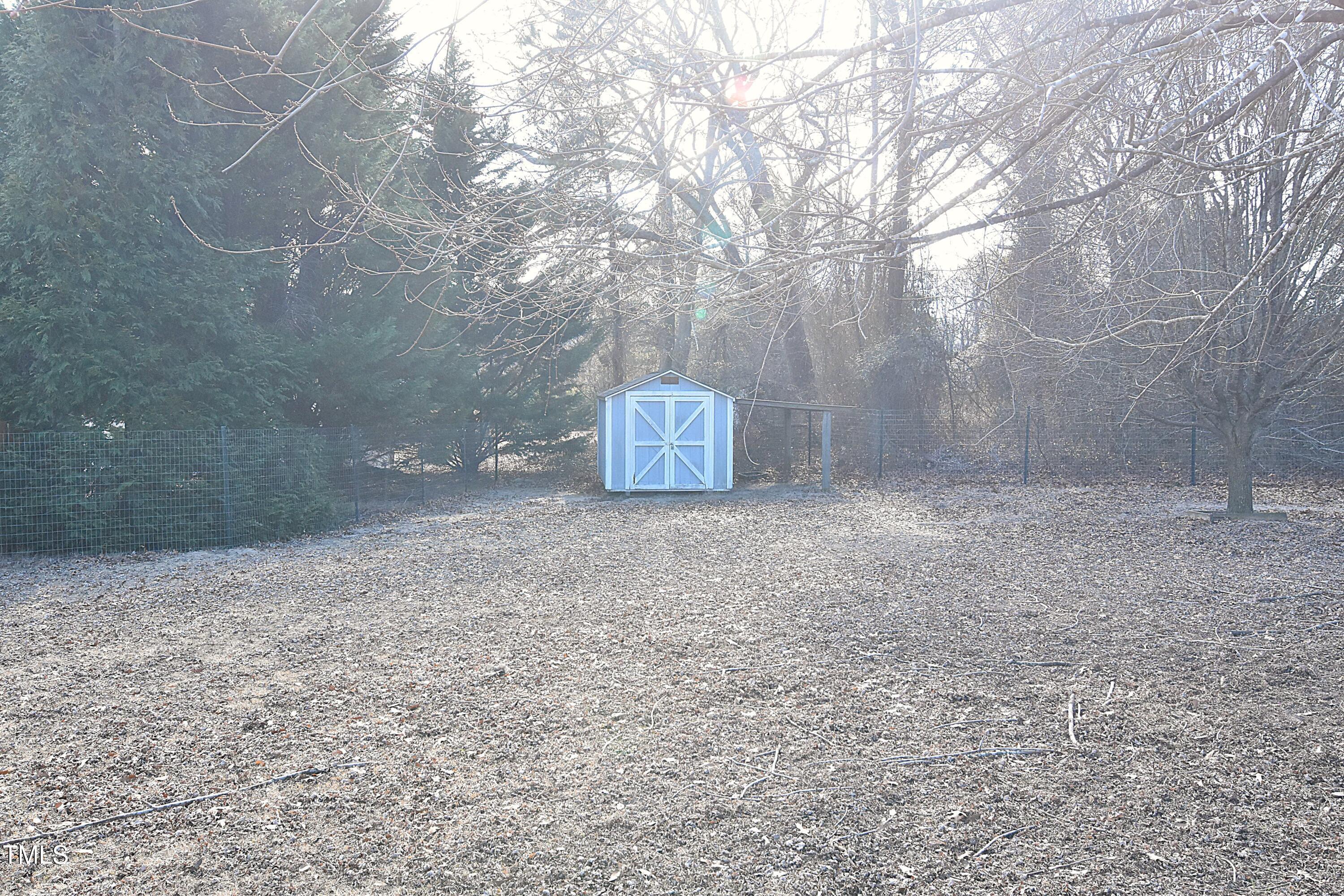 Photo #23