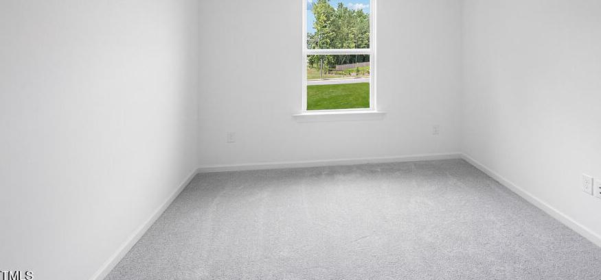 Photo #13