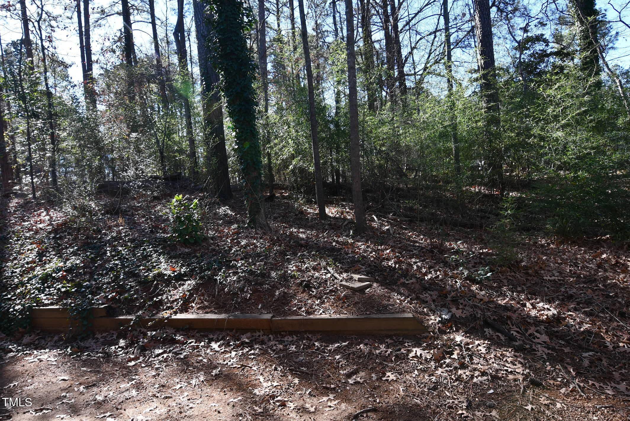 Photo #24
