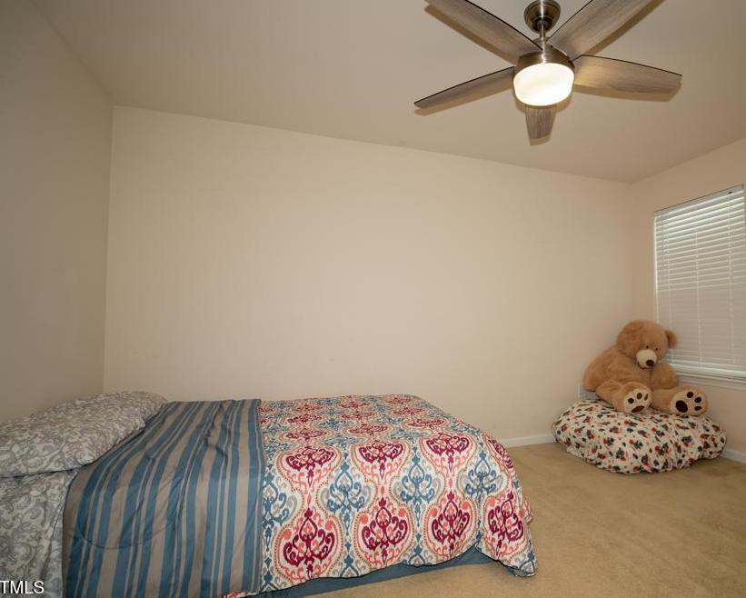 Photo #15