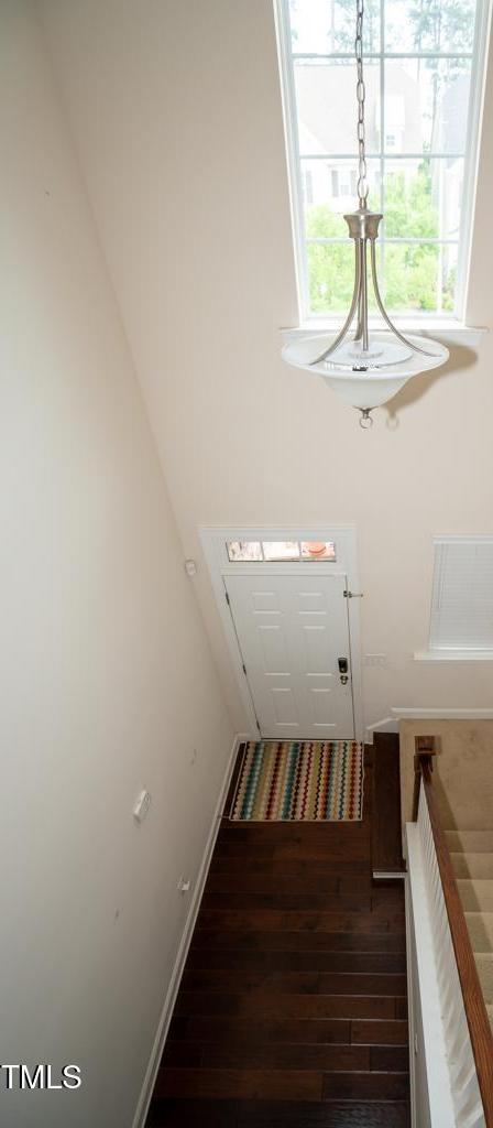 Photo #4
