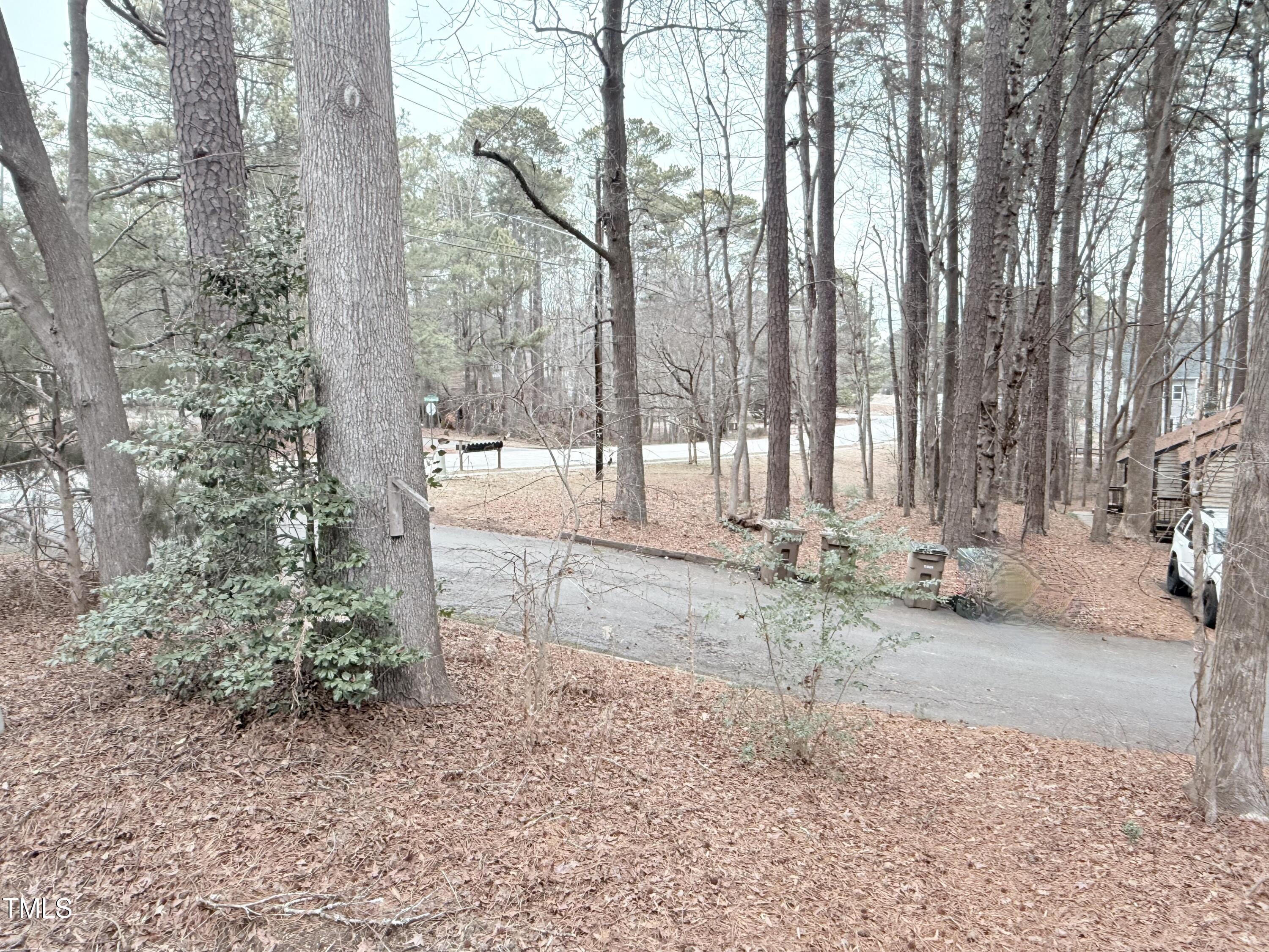 Photo #21