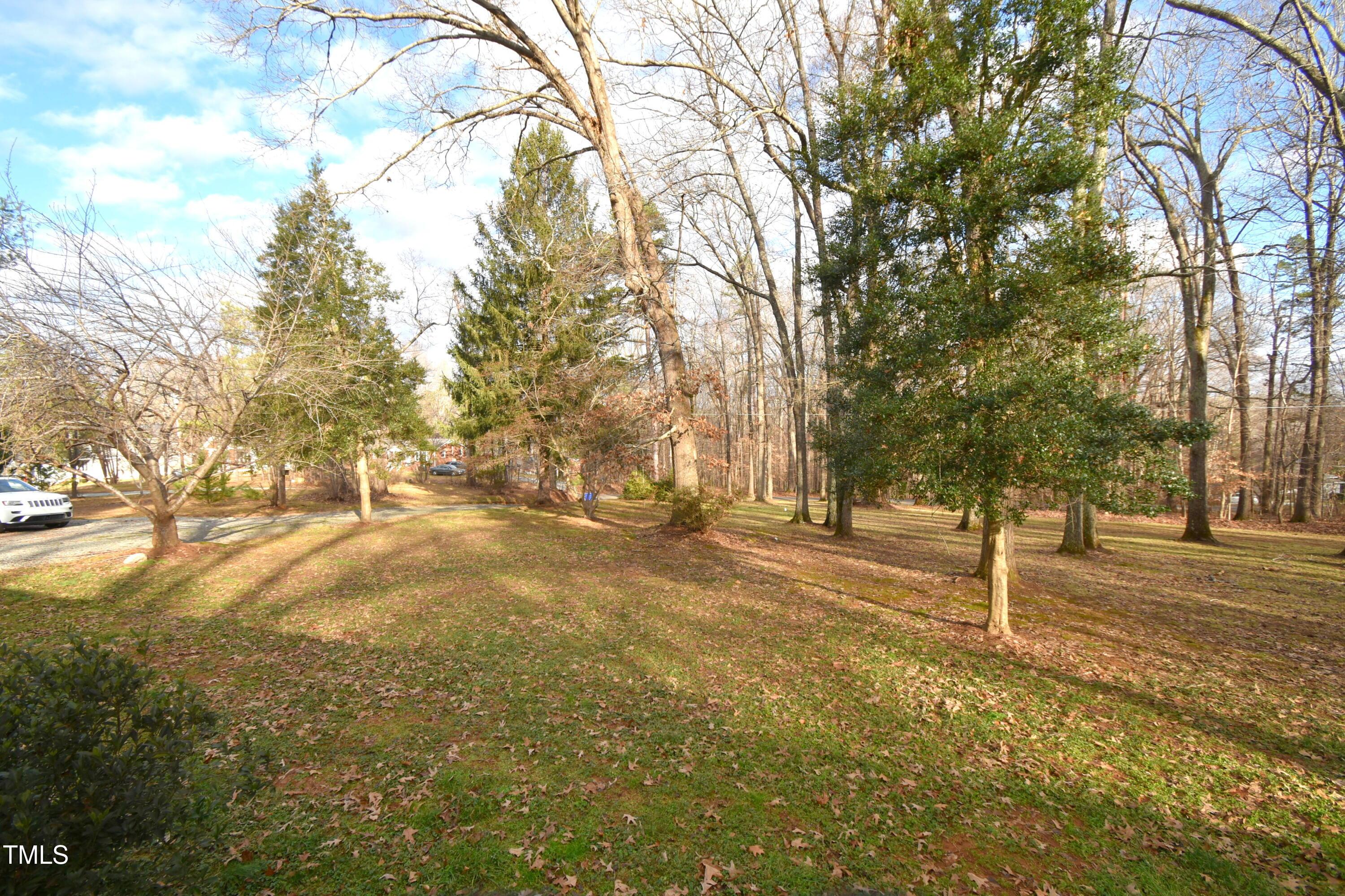 Photo #4