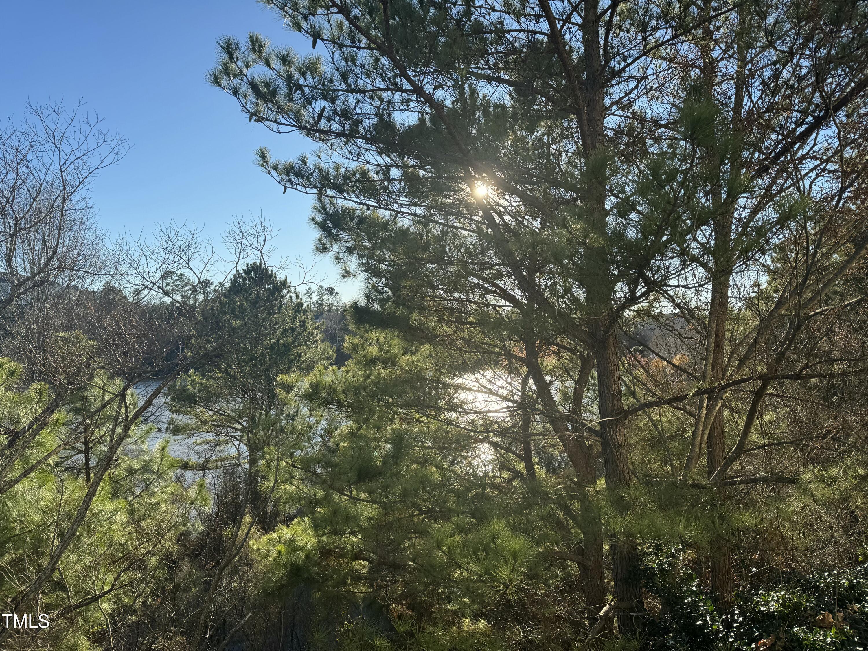 Photo #34