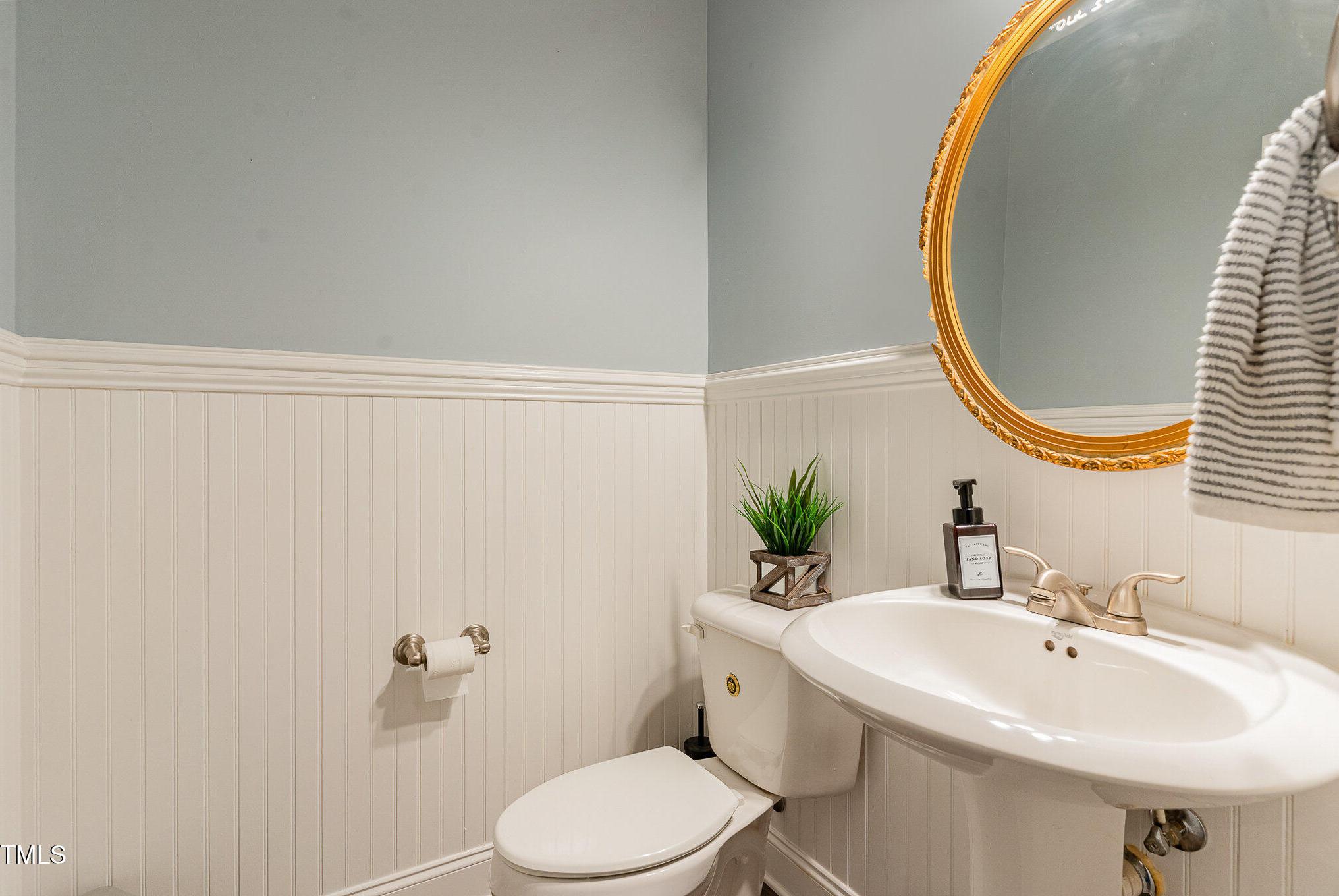 Photo #15