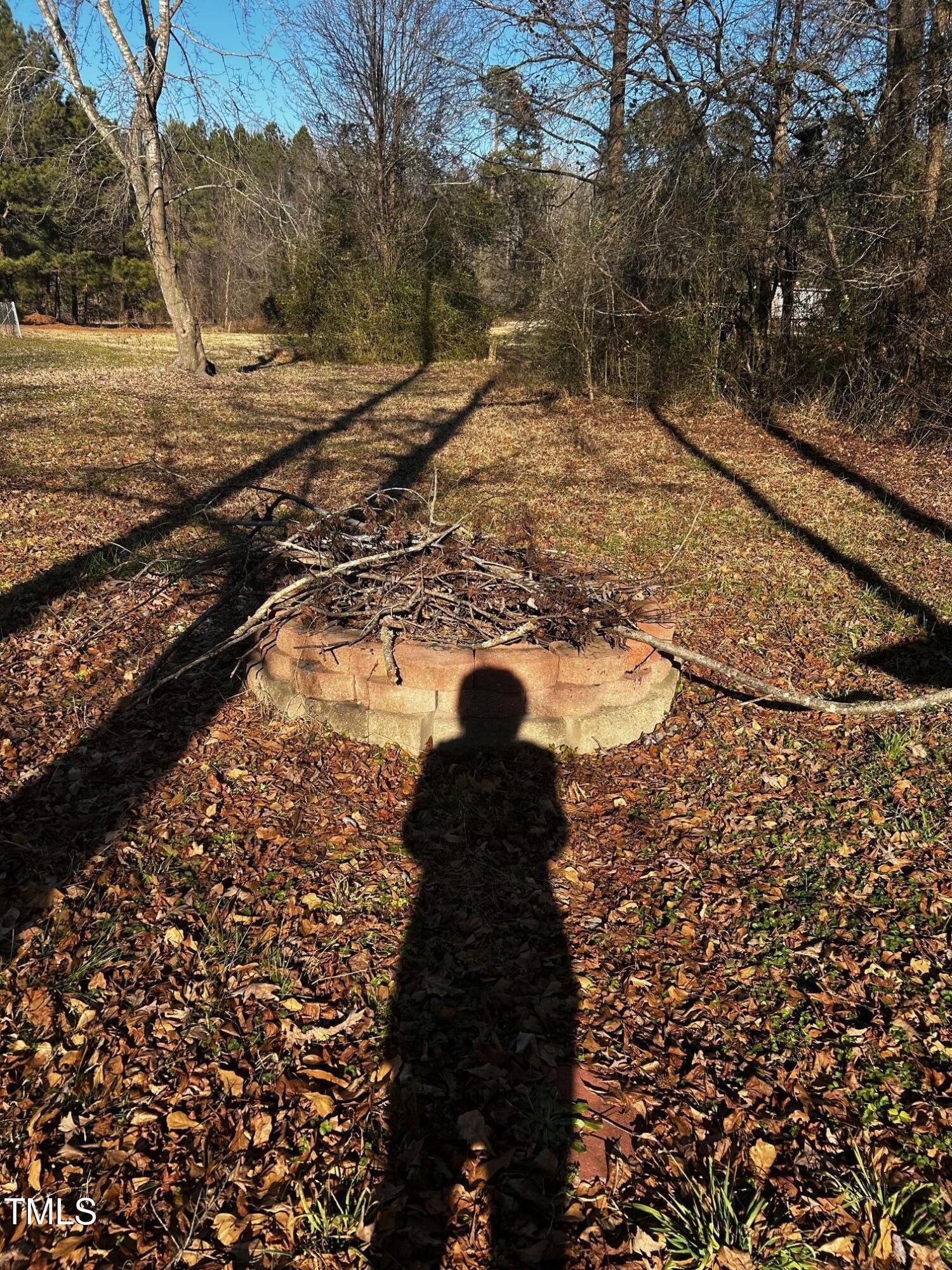 Photo #31