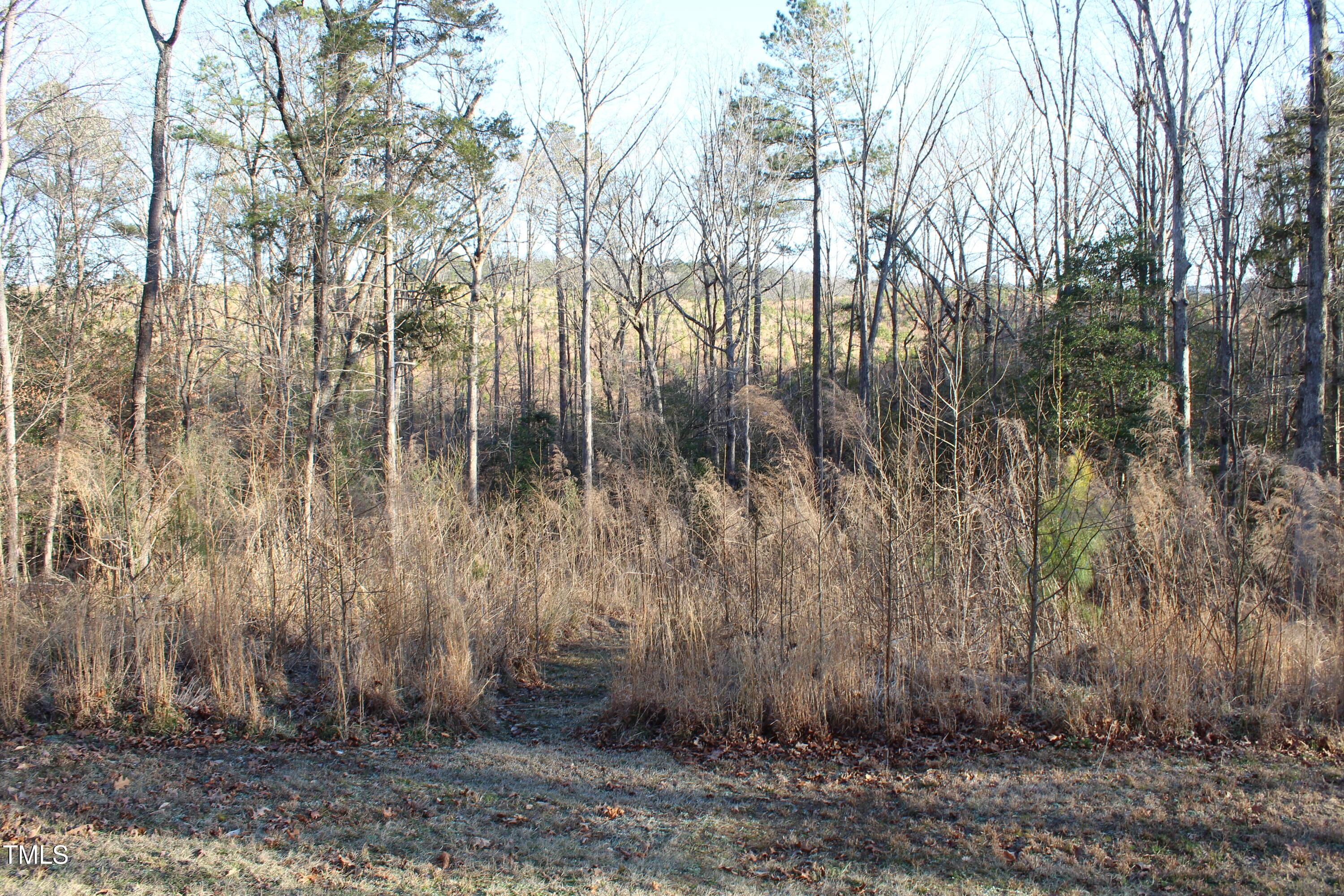 Photo #3