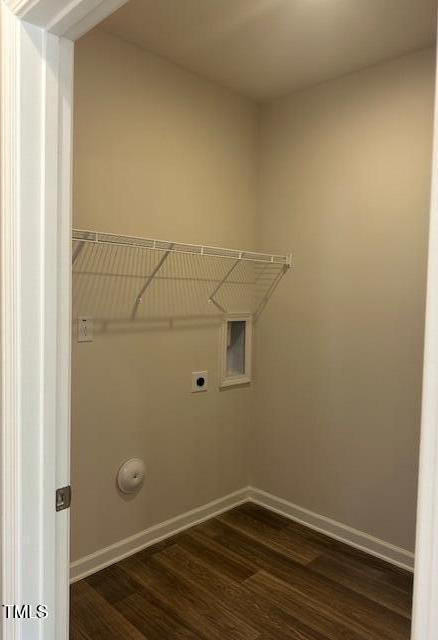 Photo #13