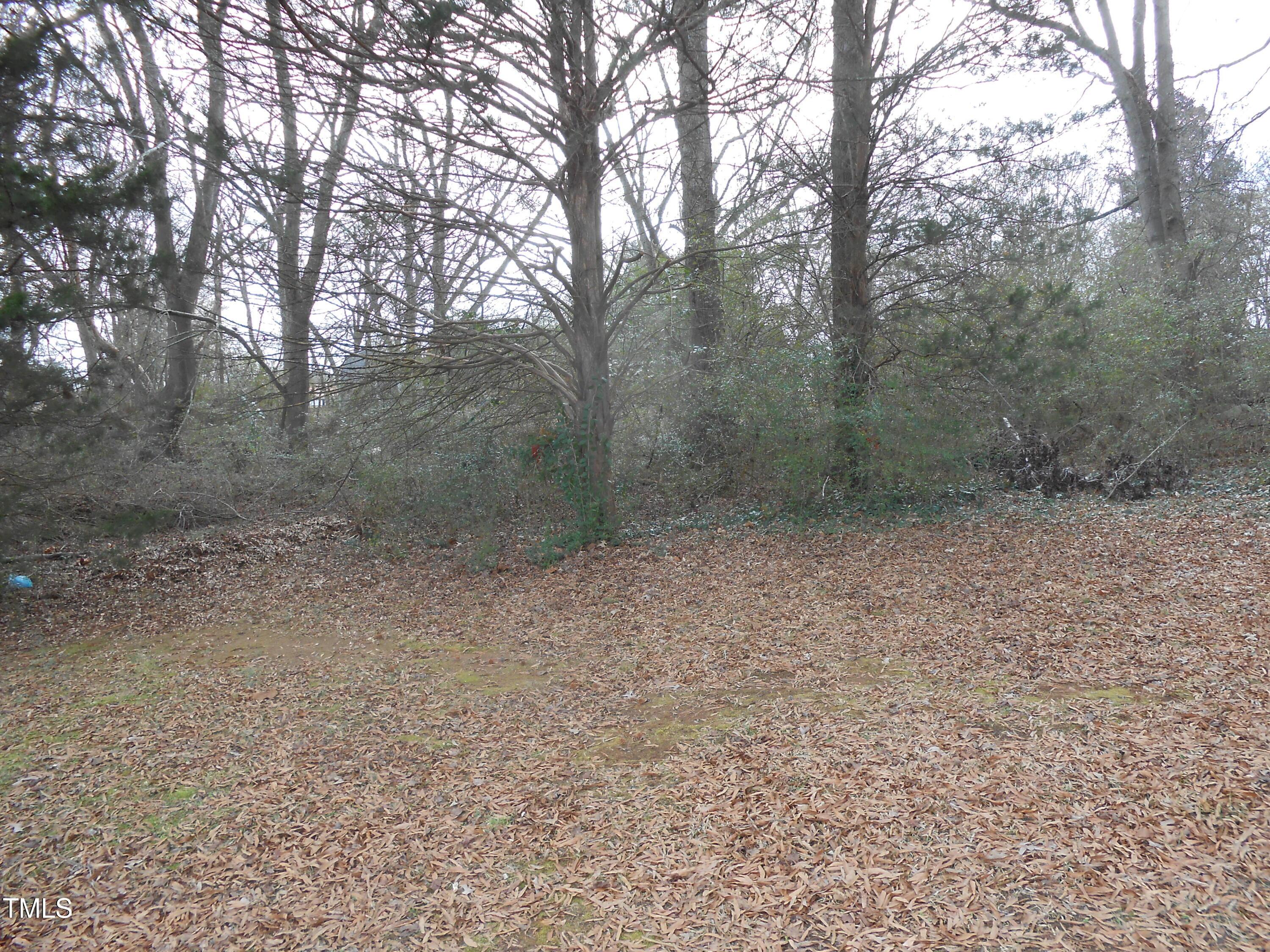 Photo #27