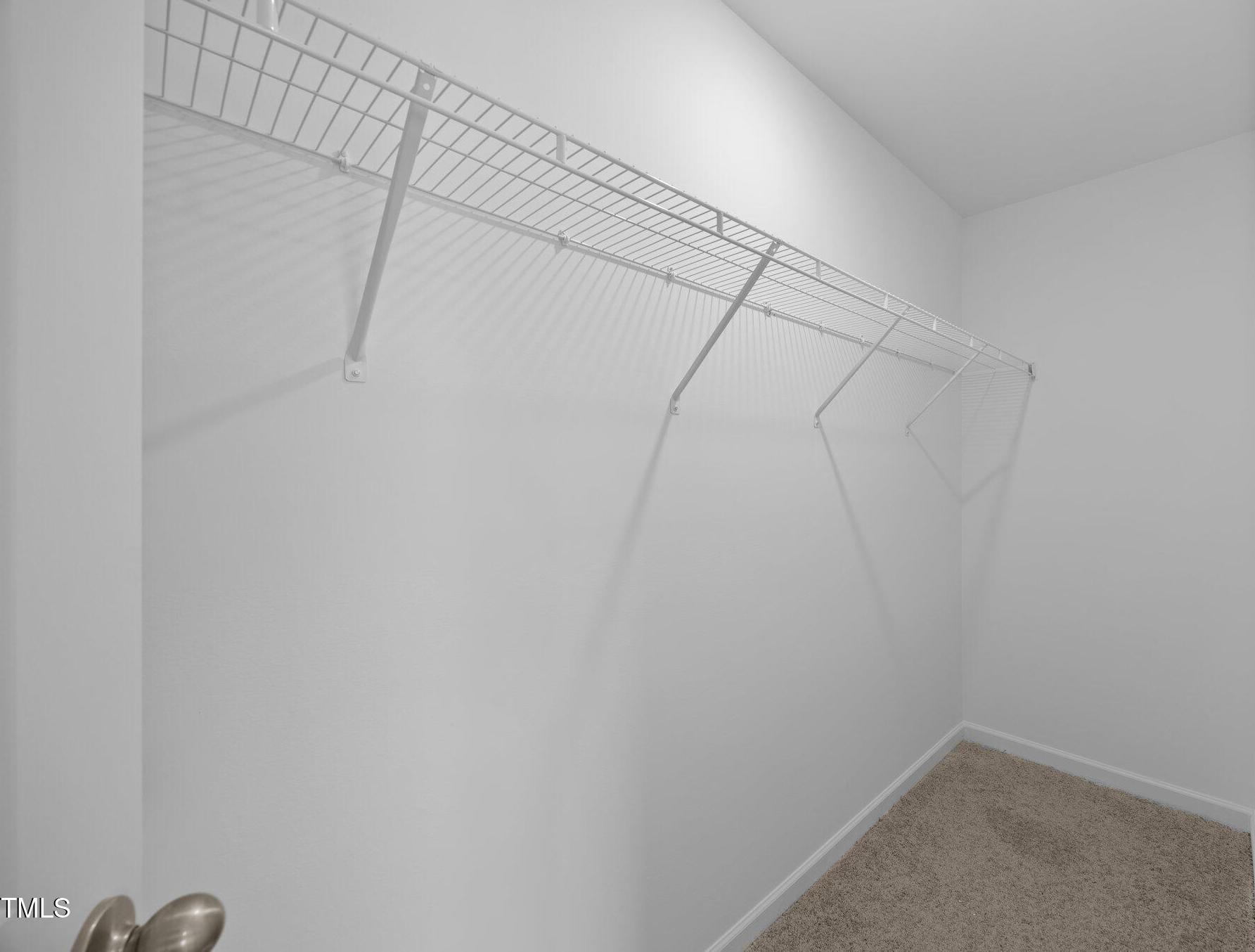 Photo #24
