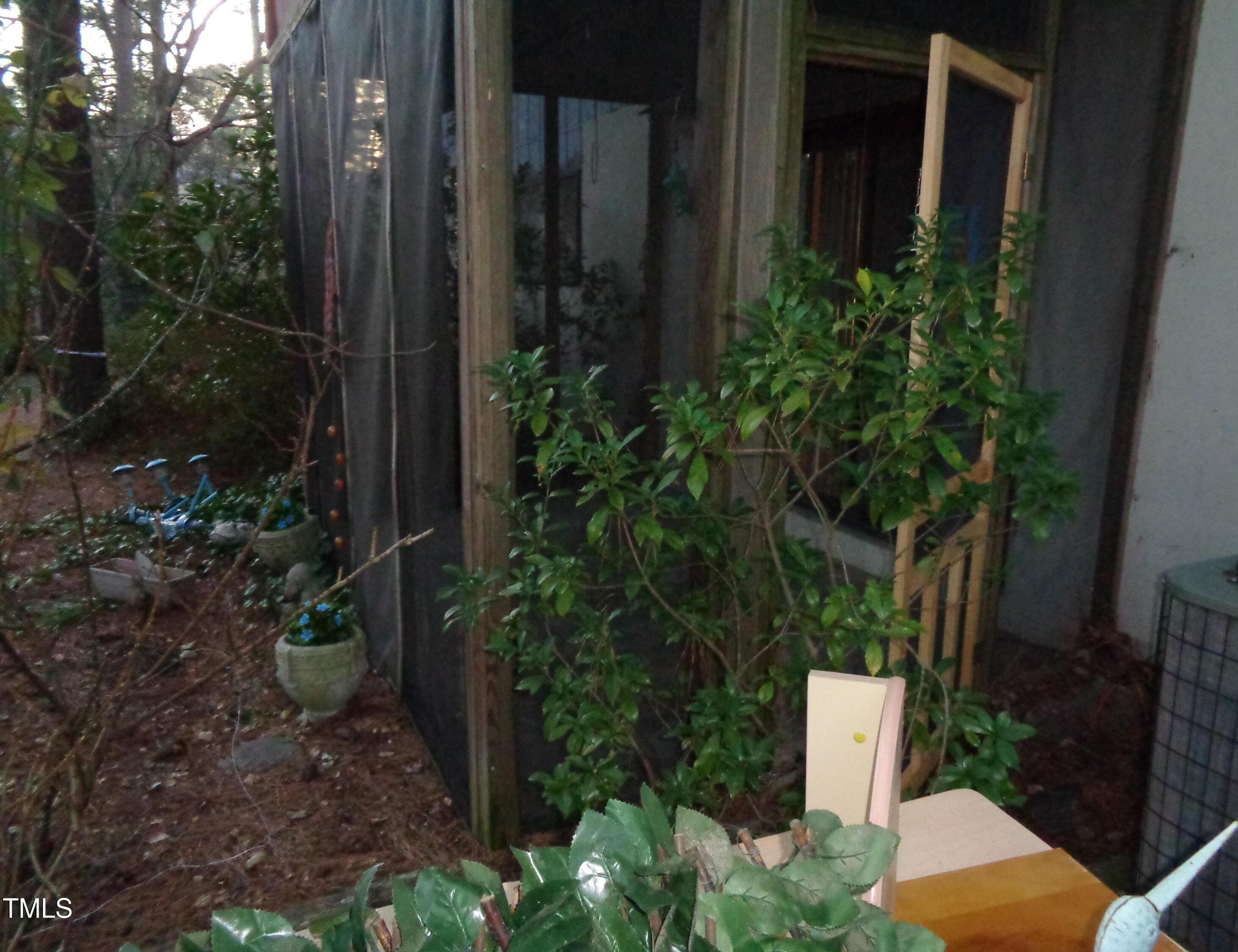 Photo #13