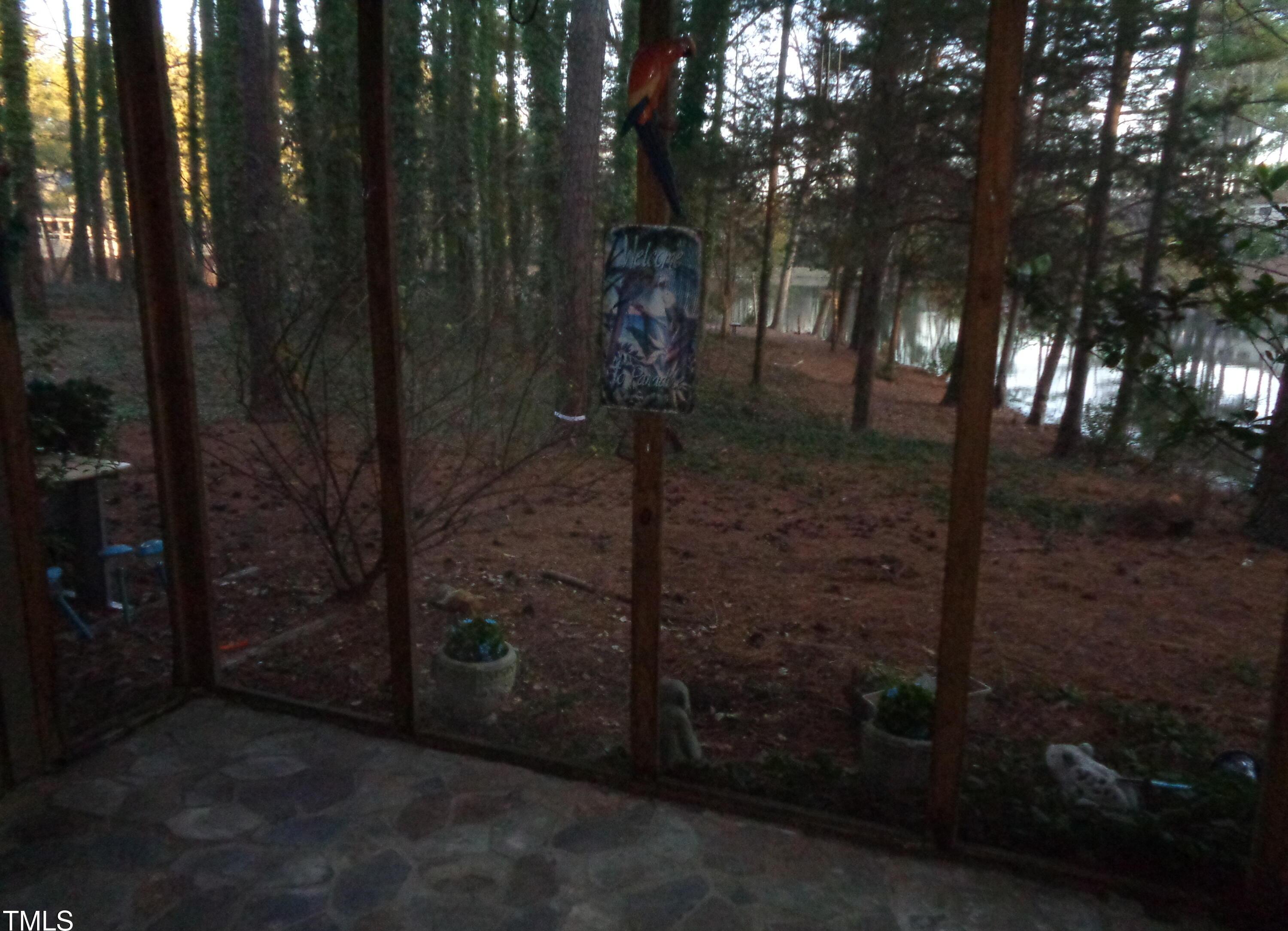 Photo #12