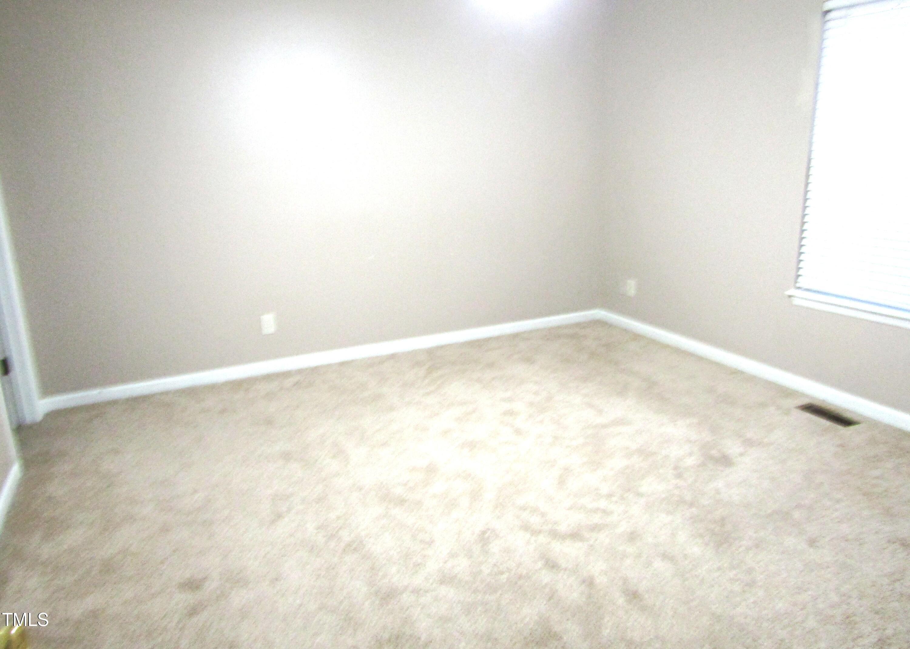 Photo #5
