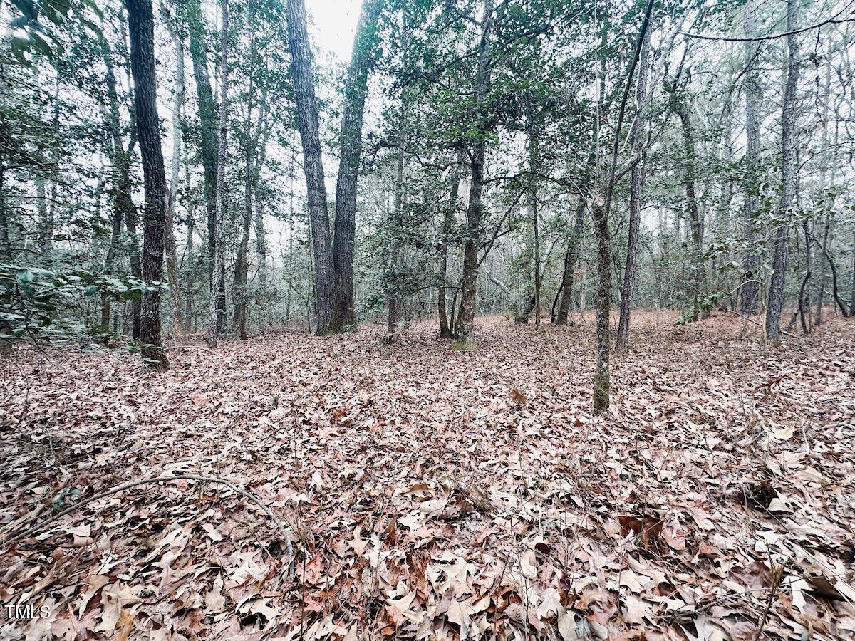 Photo #74