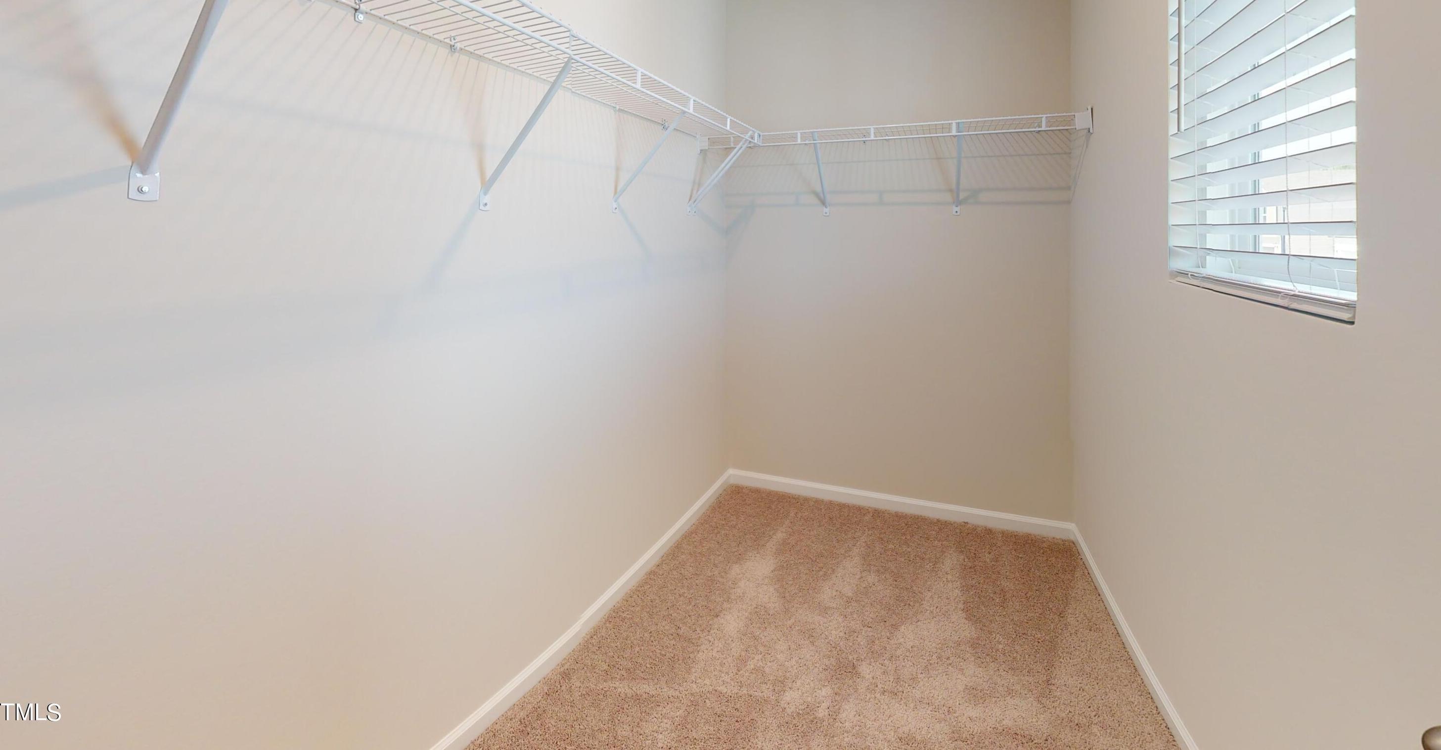 Photo #31