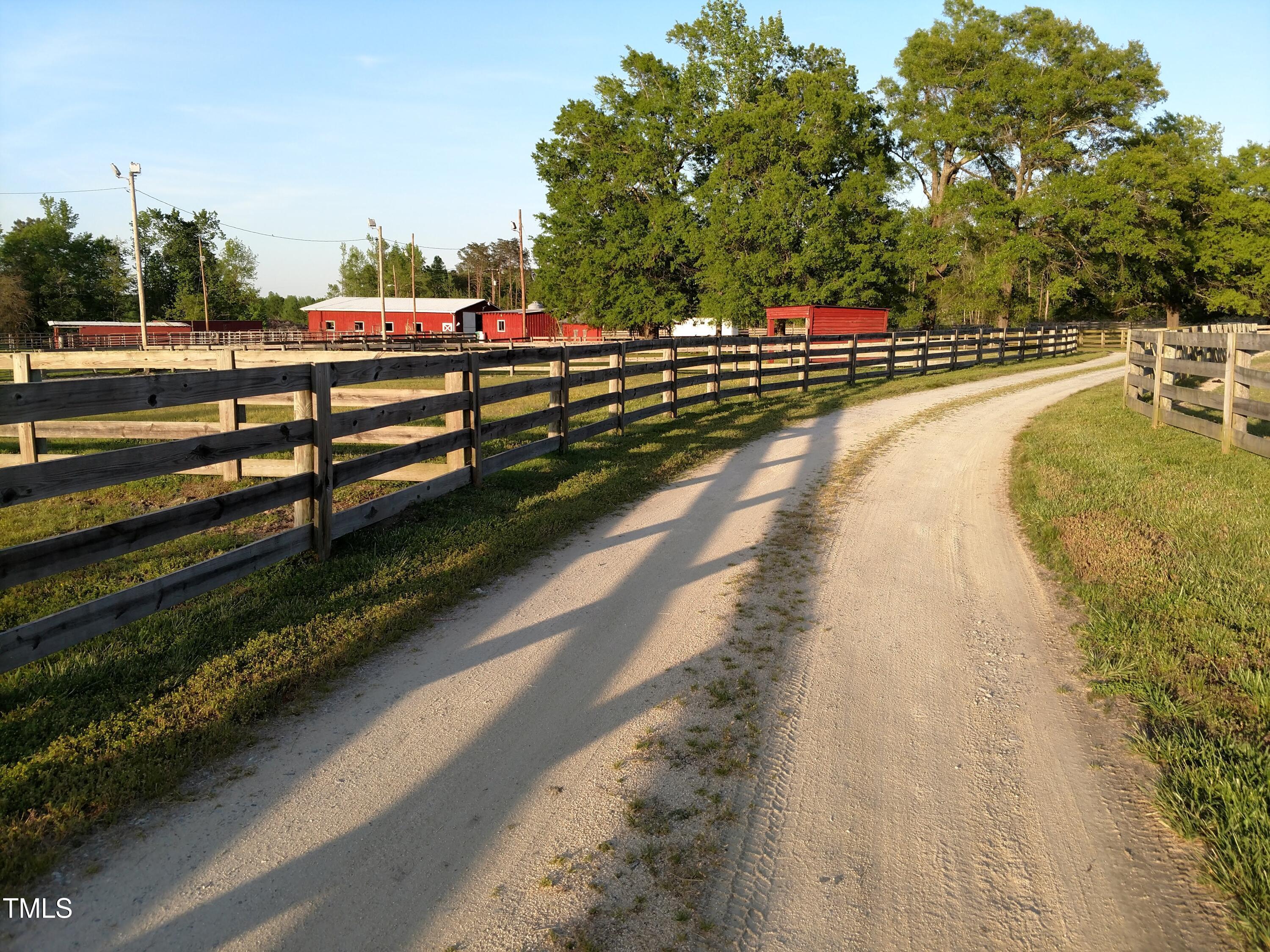 Photo #46