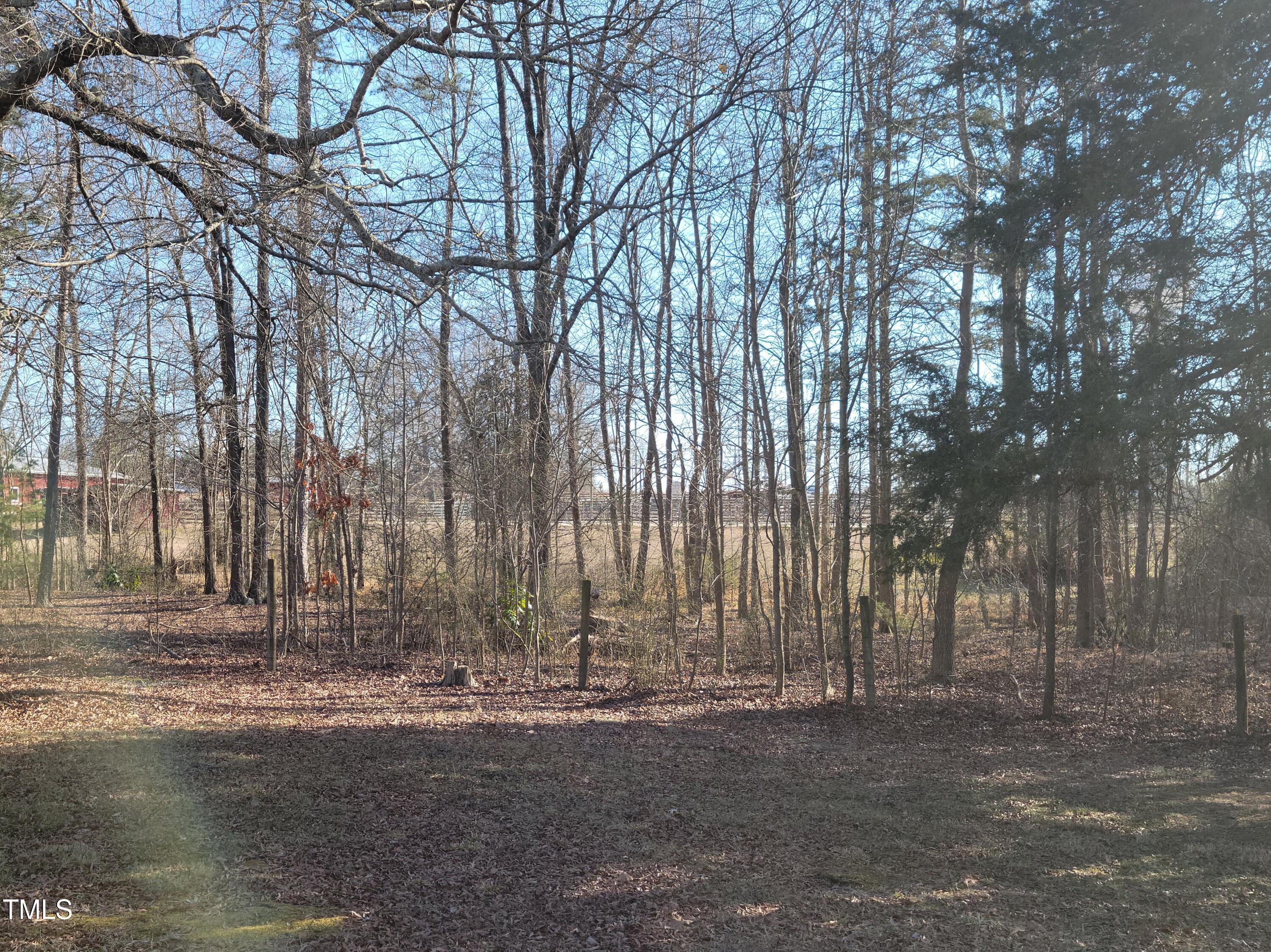 Photo #6