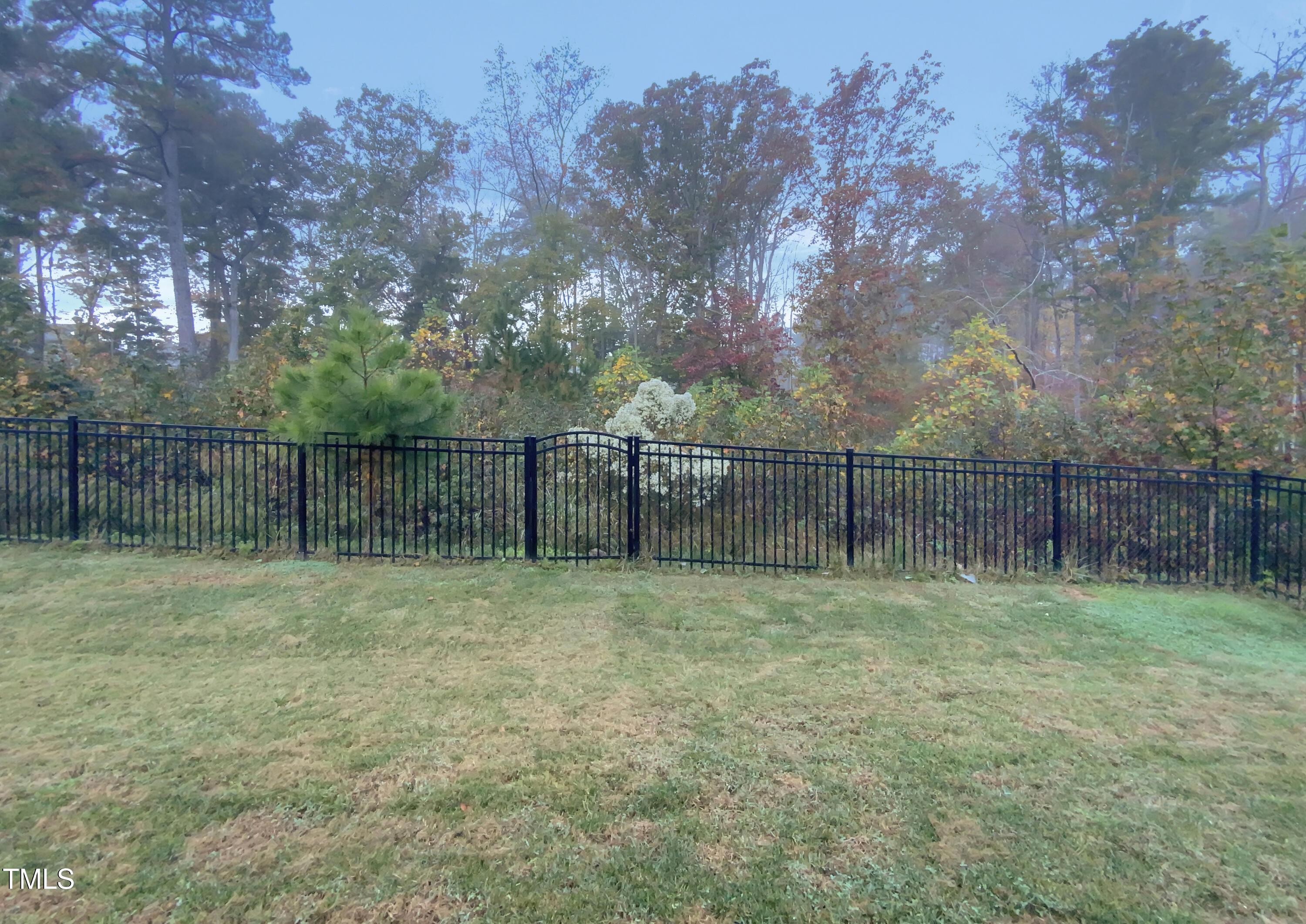 Photo #24