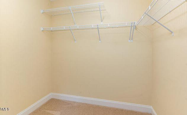 Photo #26