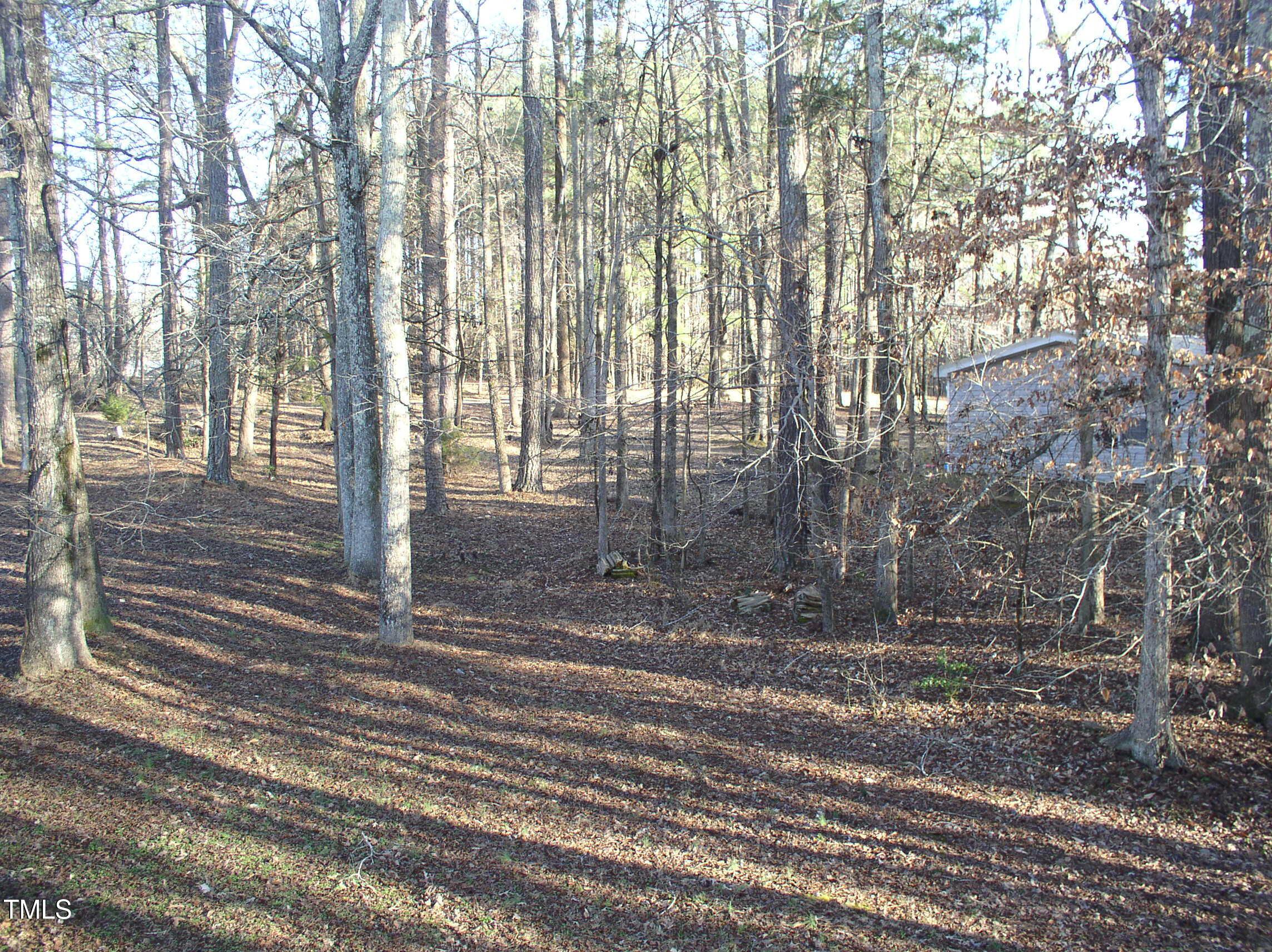 Photo #48