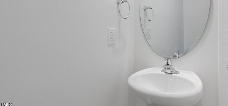 Photo #15