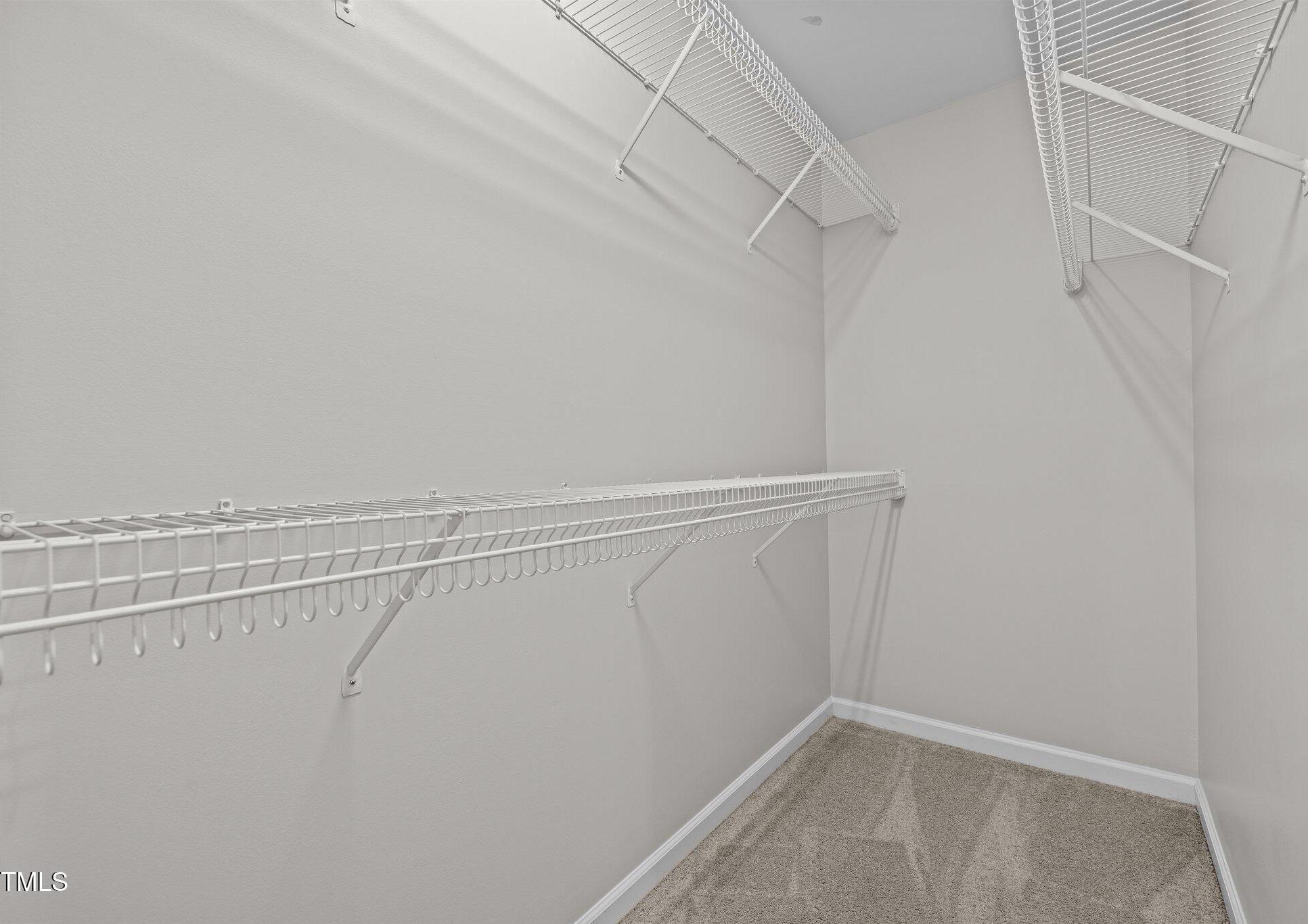Photo #8
