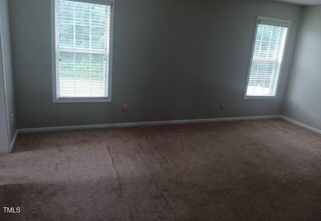 Photo #29