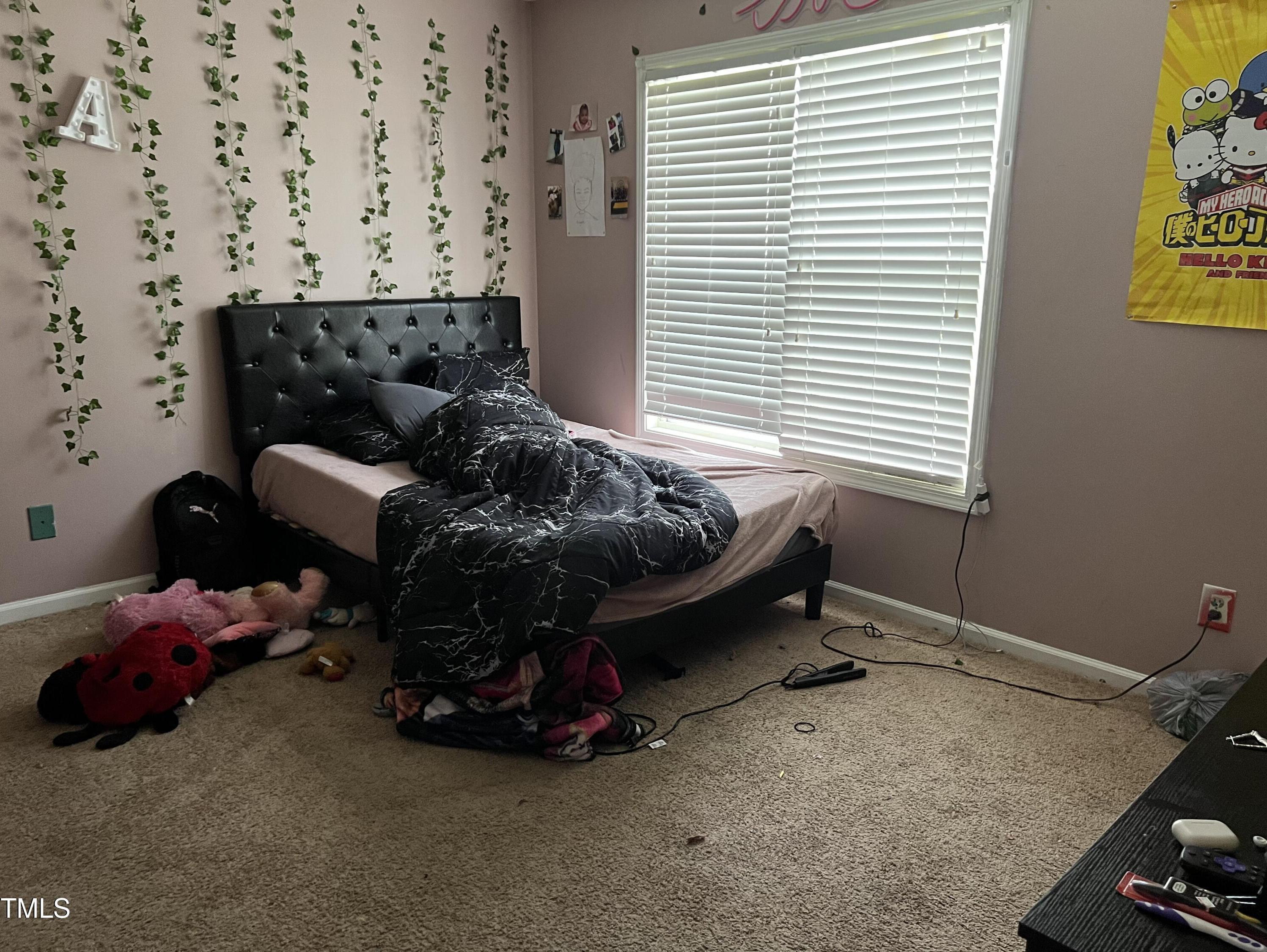 Photo #18
