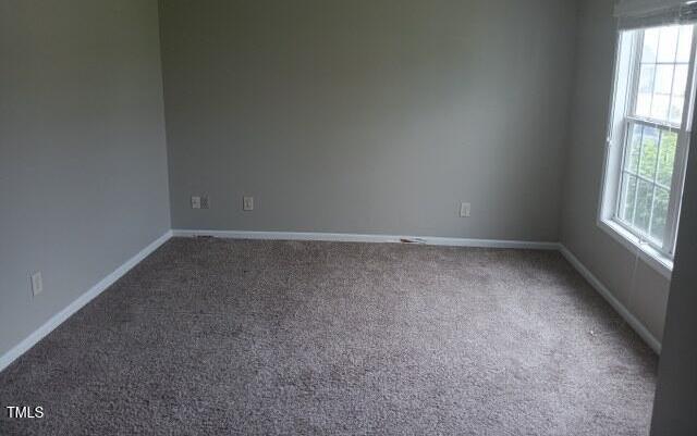 Photo #16