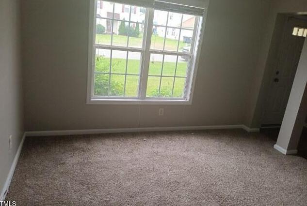Photo #13