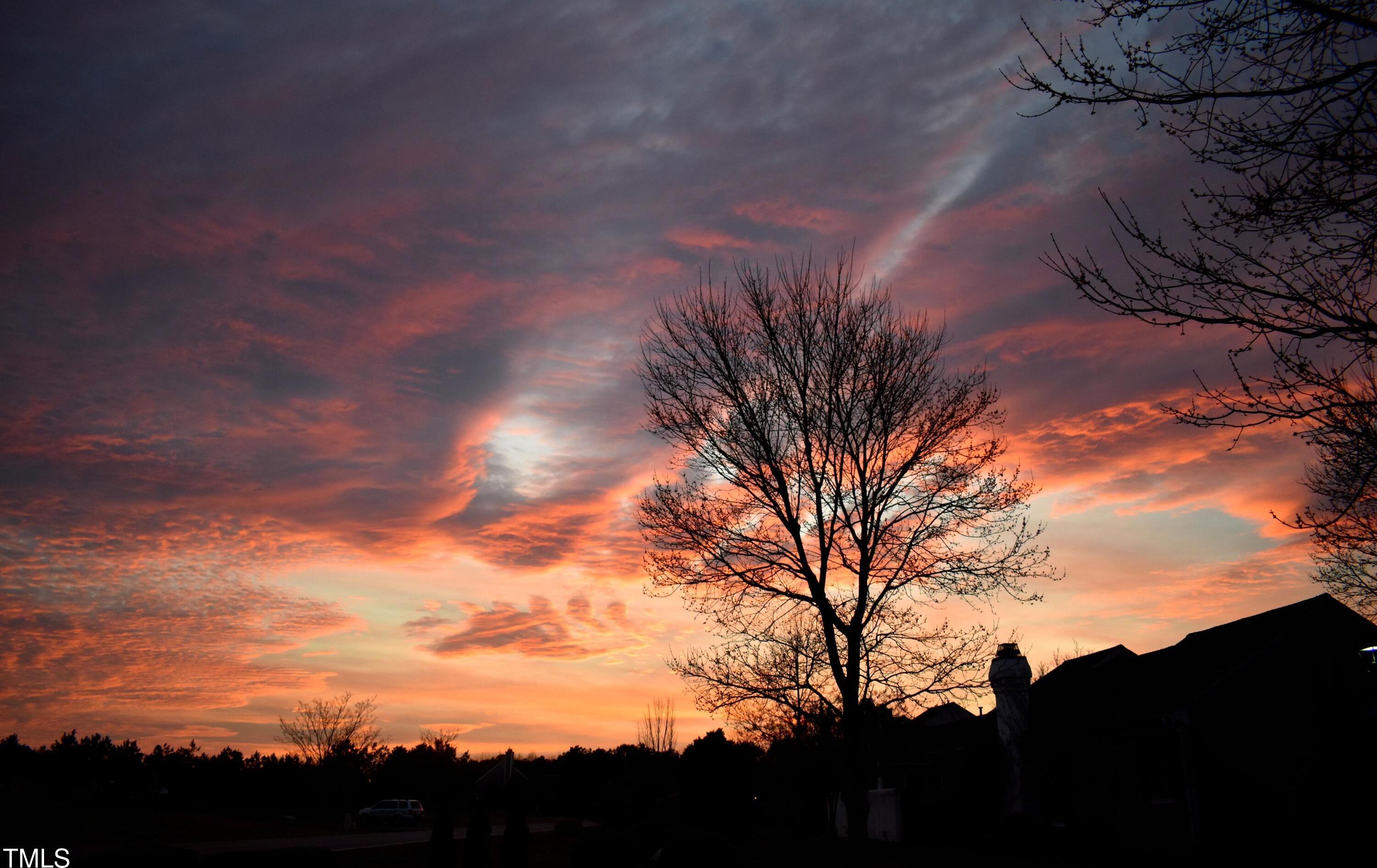 Photo #31
