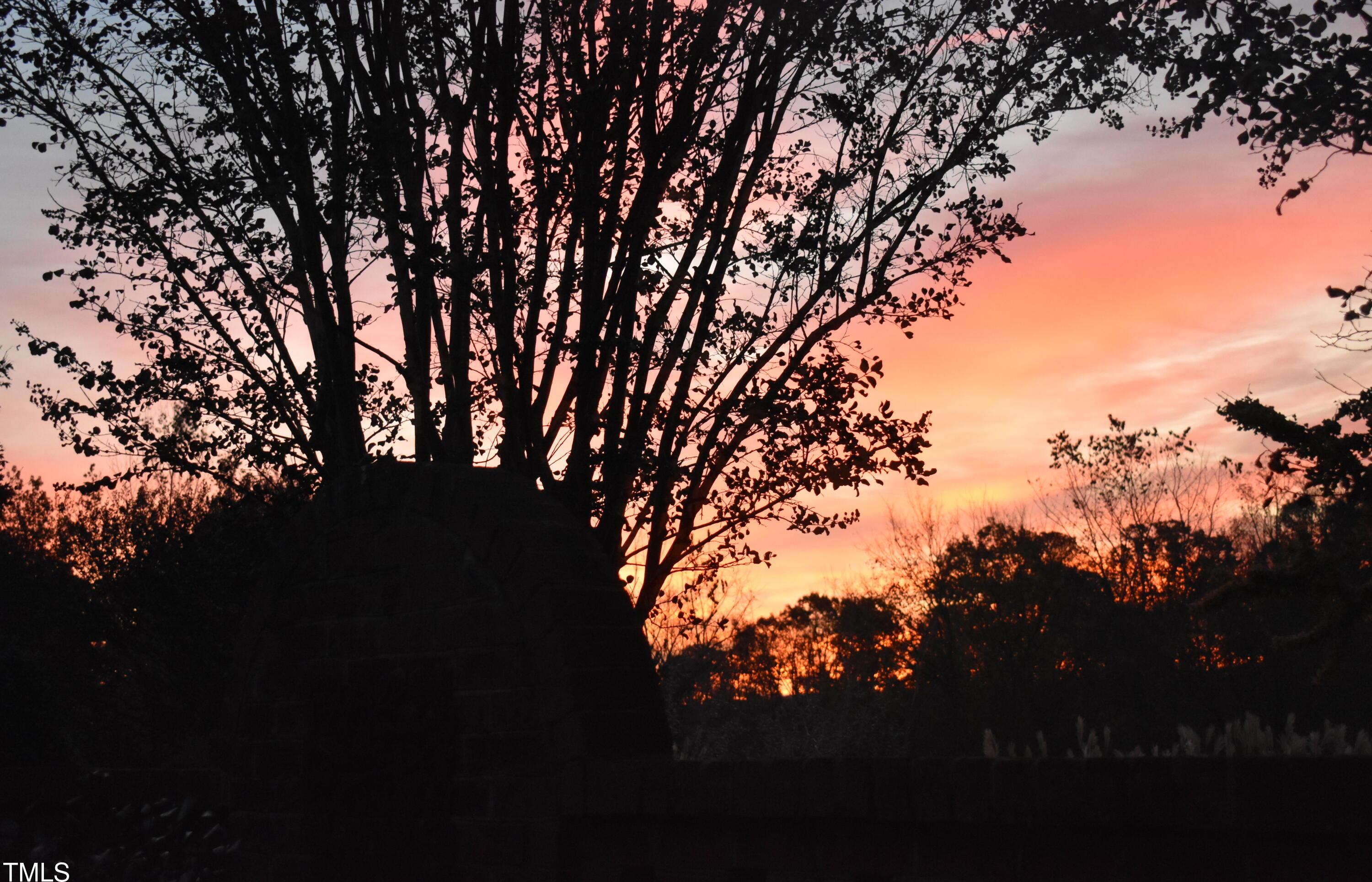 Photo #37