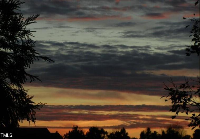 Photo #38