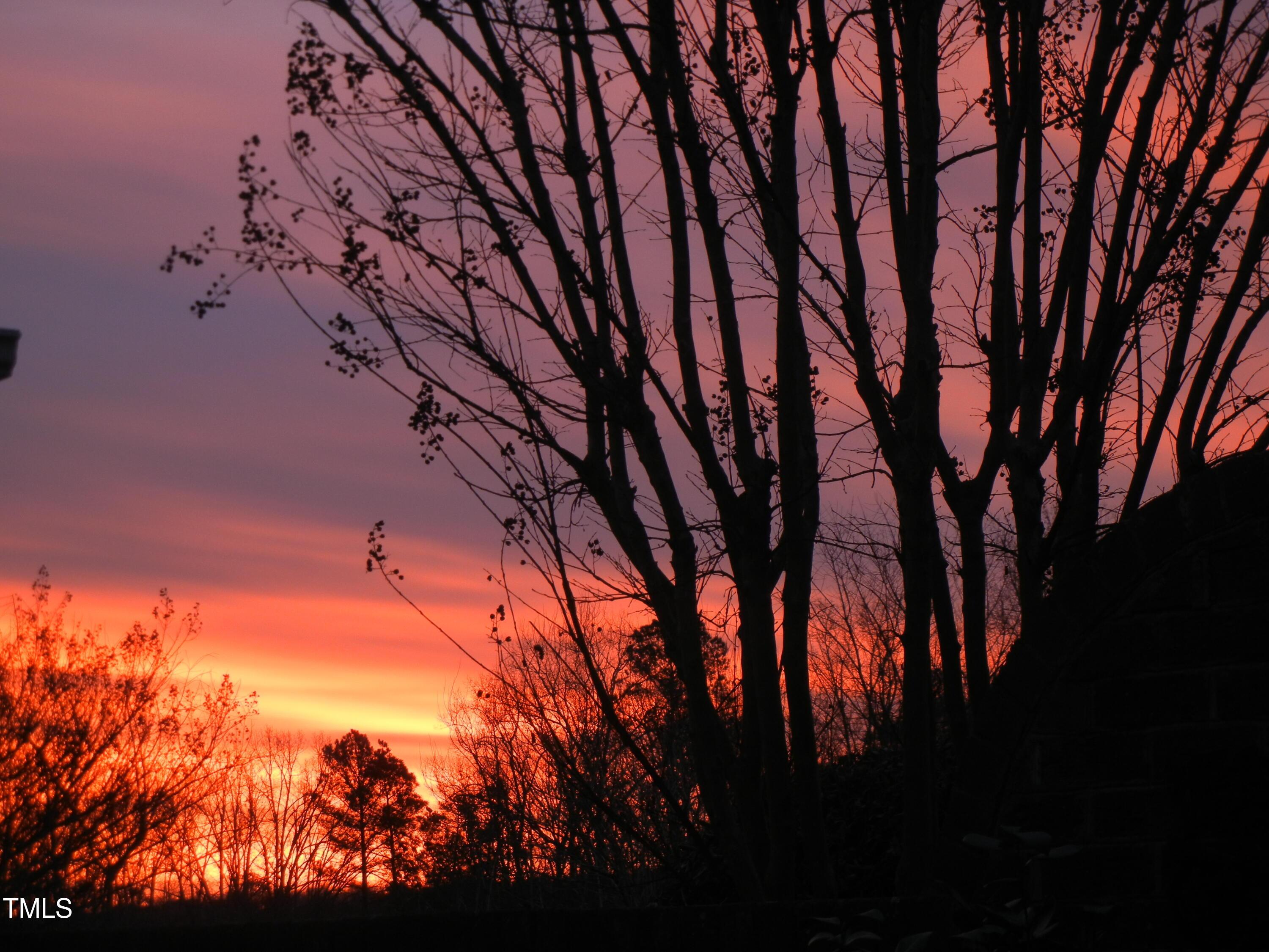 Photo #36