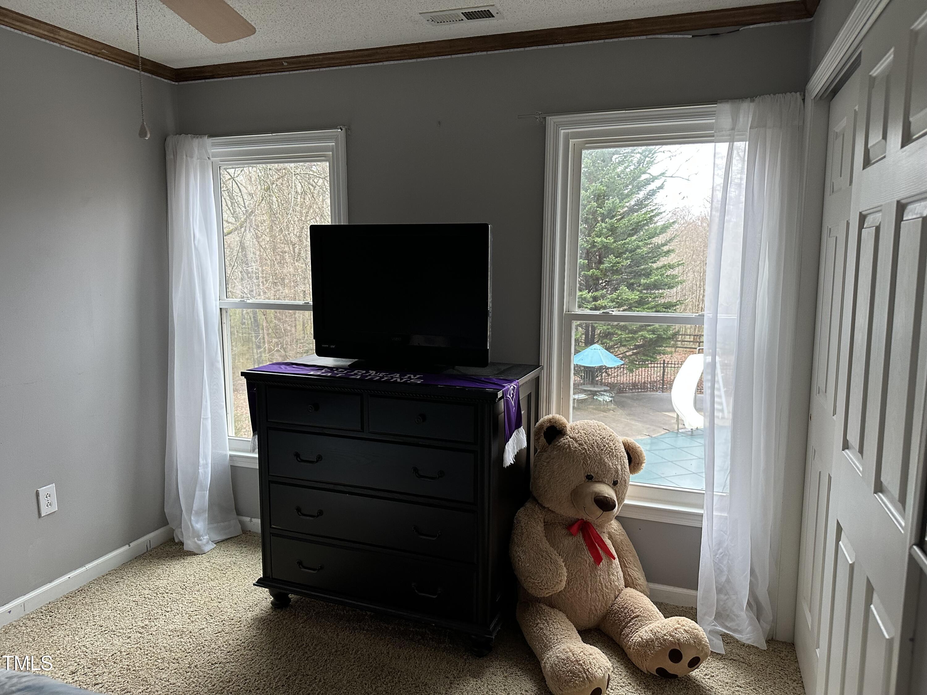 Photo #42