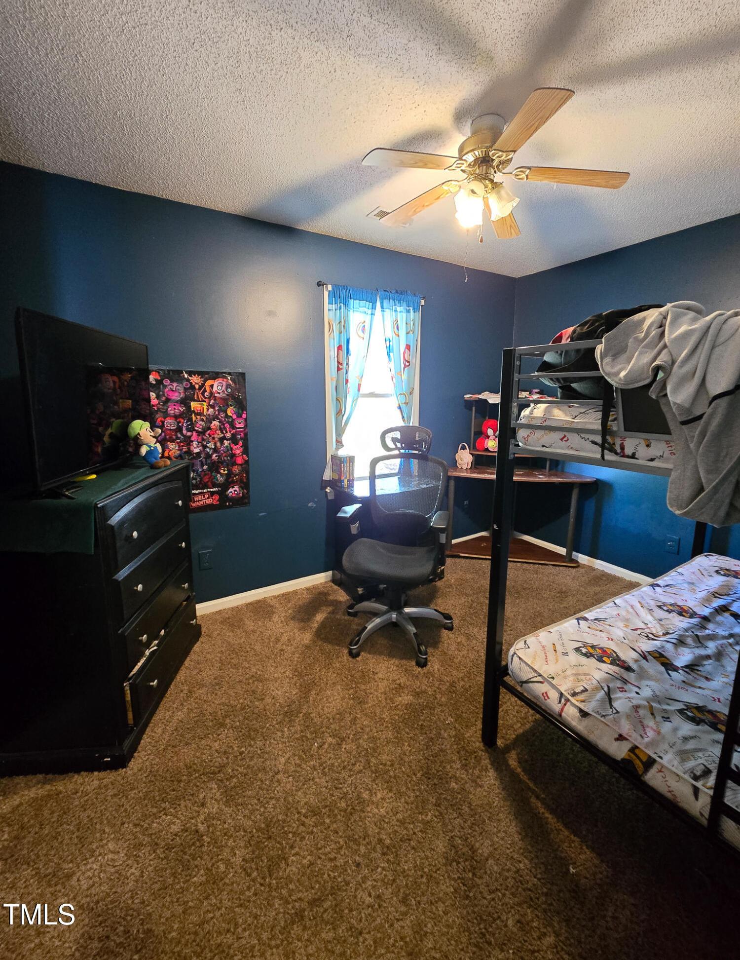 Photo #16