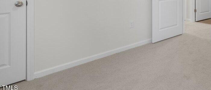 Photo #24