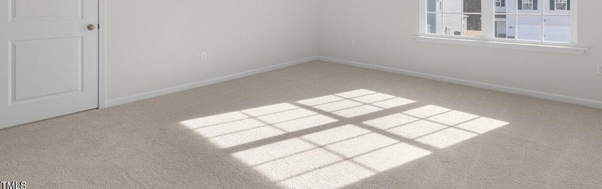 Photo #19