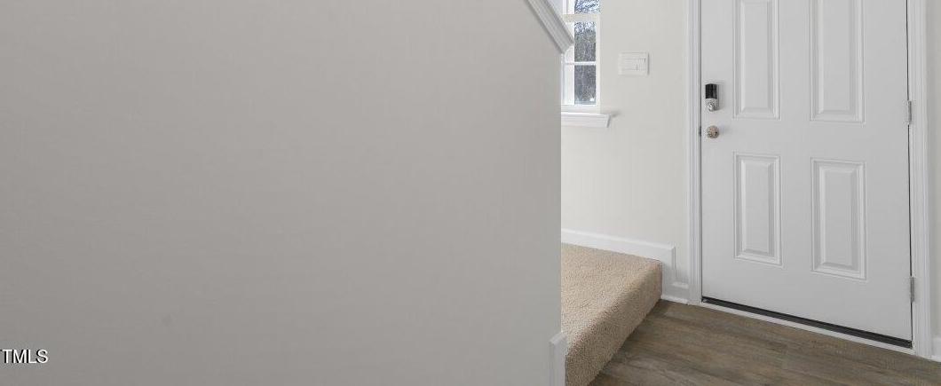 Photo #5