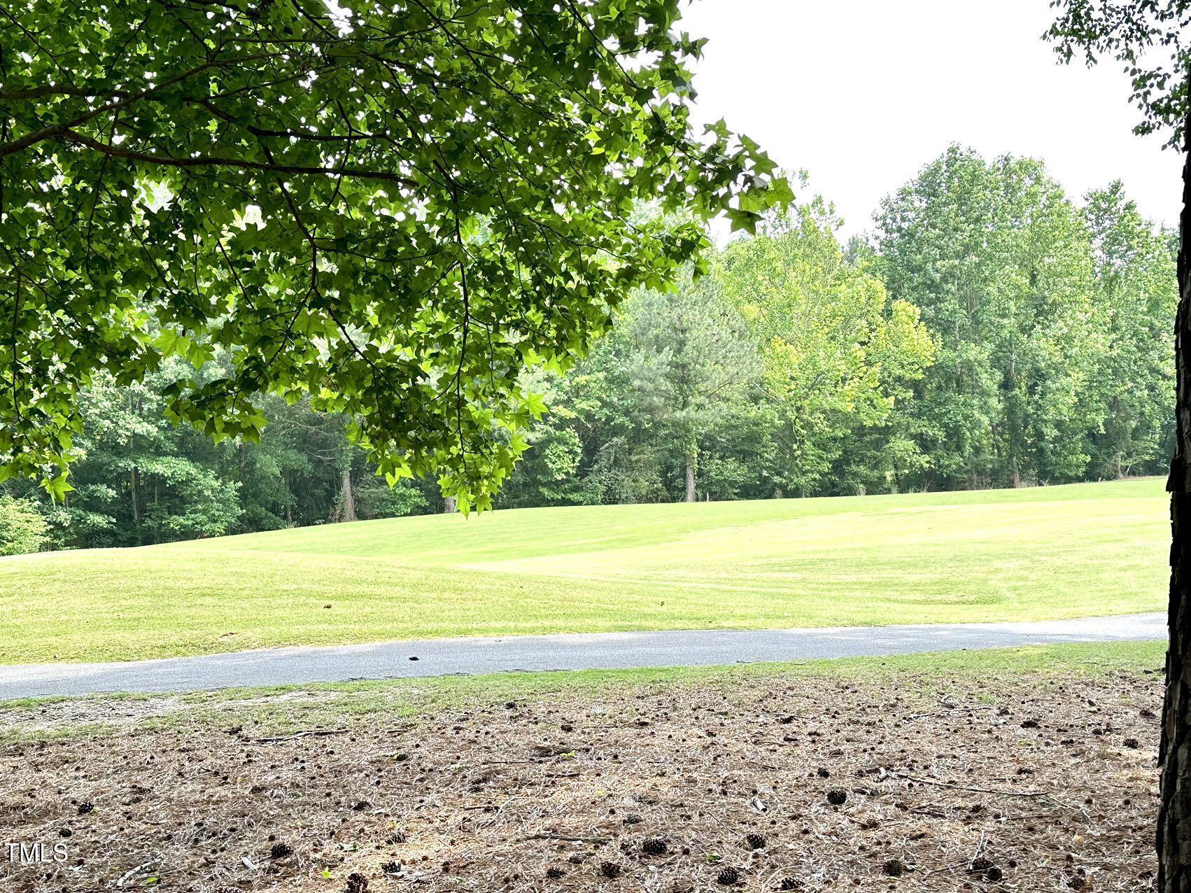 Photo #24