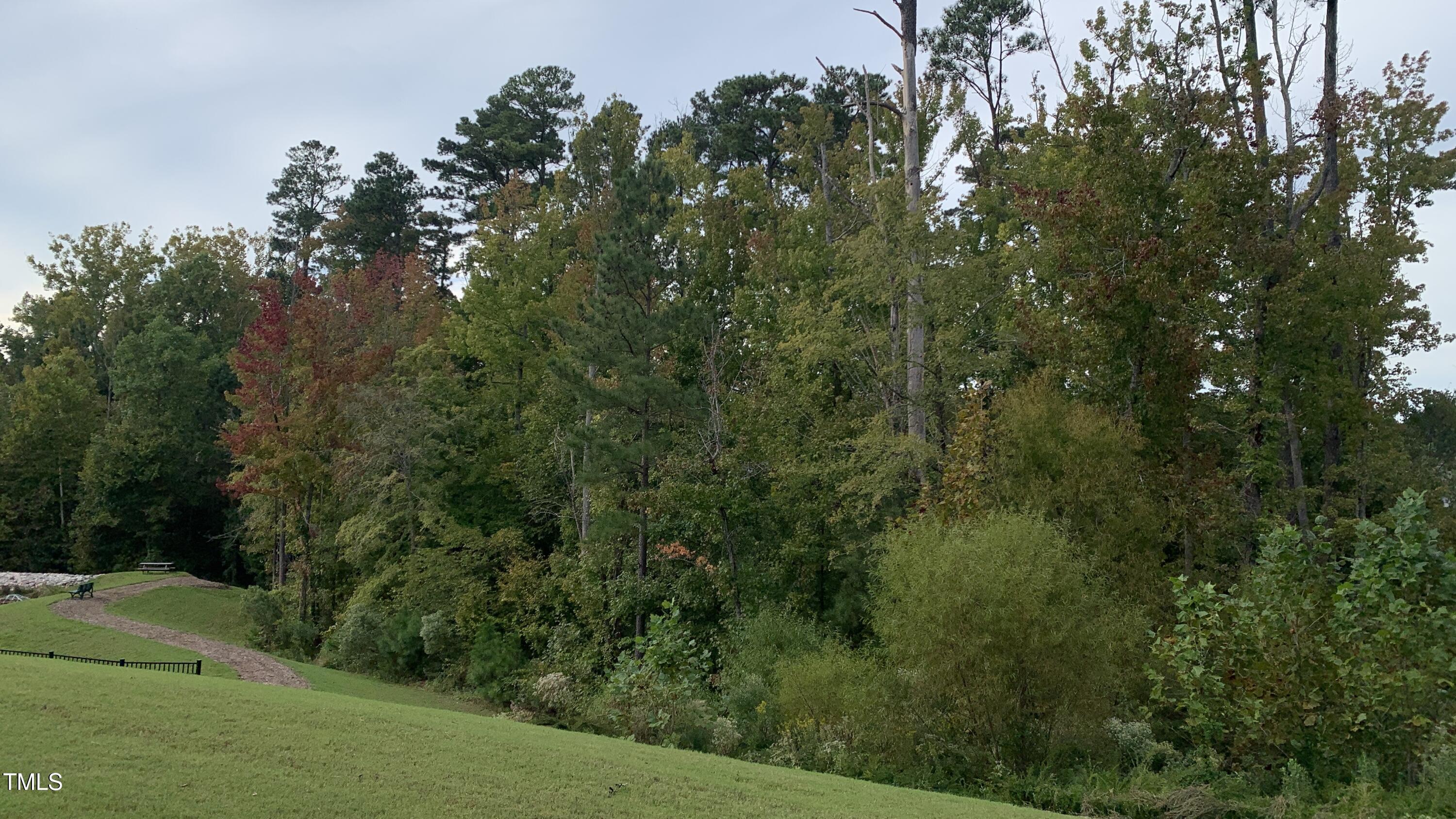 Photo #42