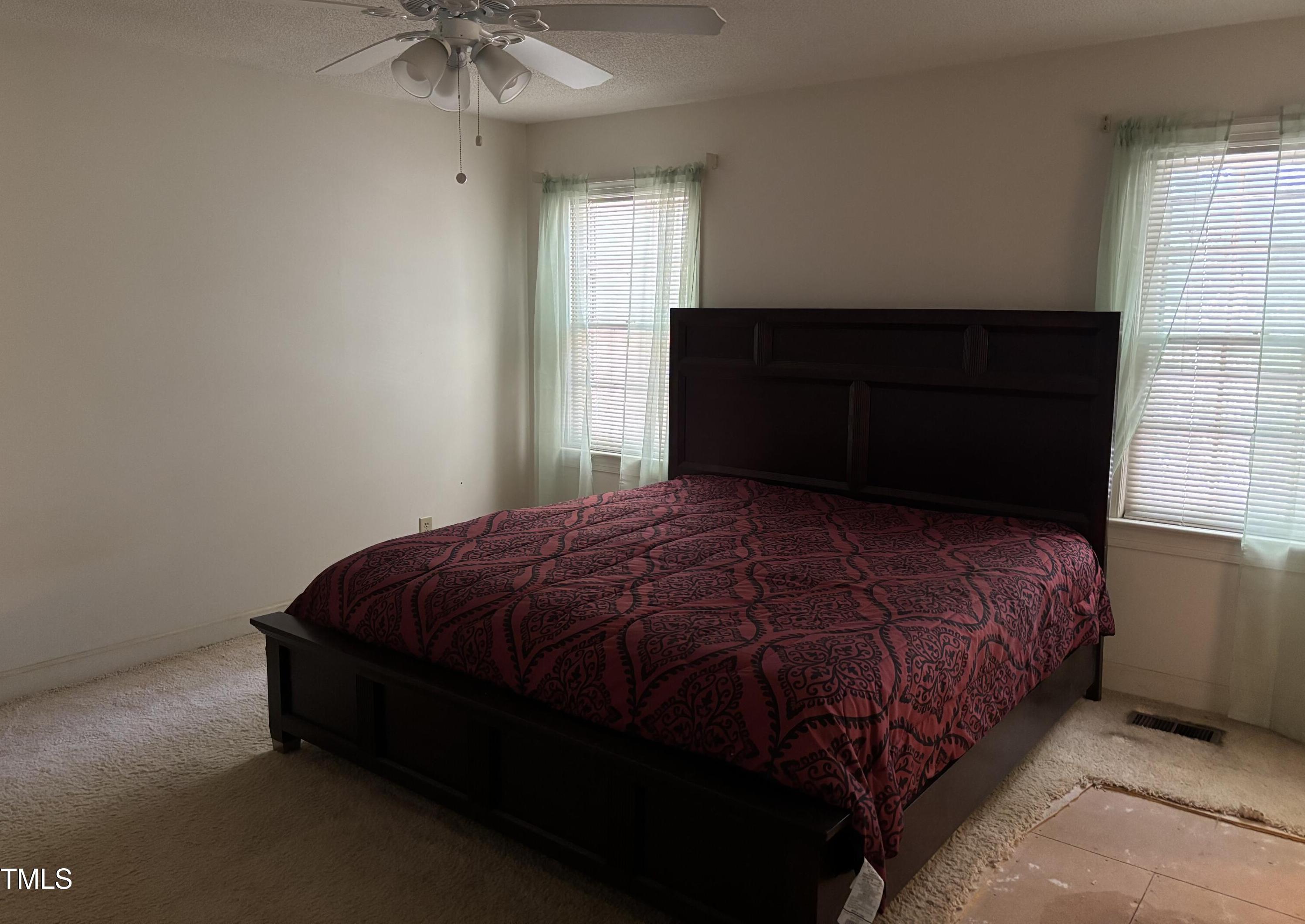 Photo #14