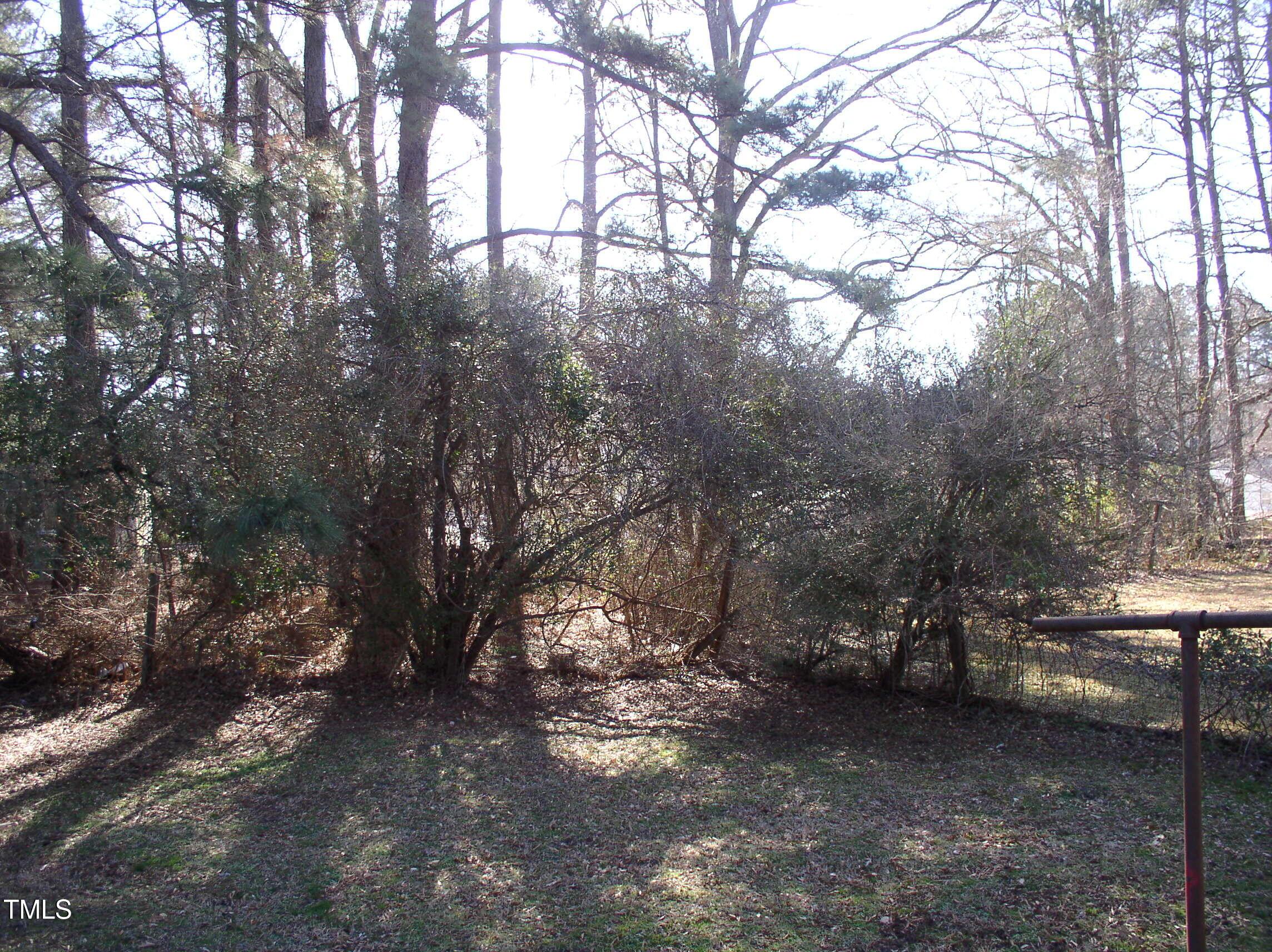 Photo #18
