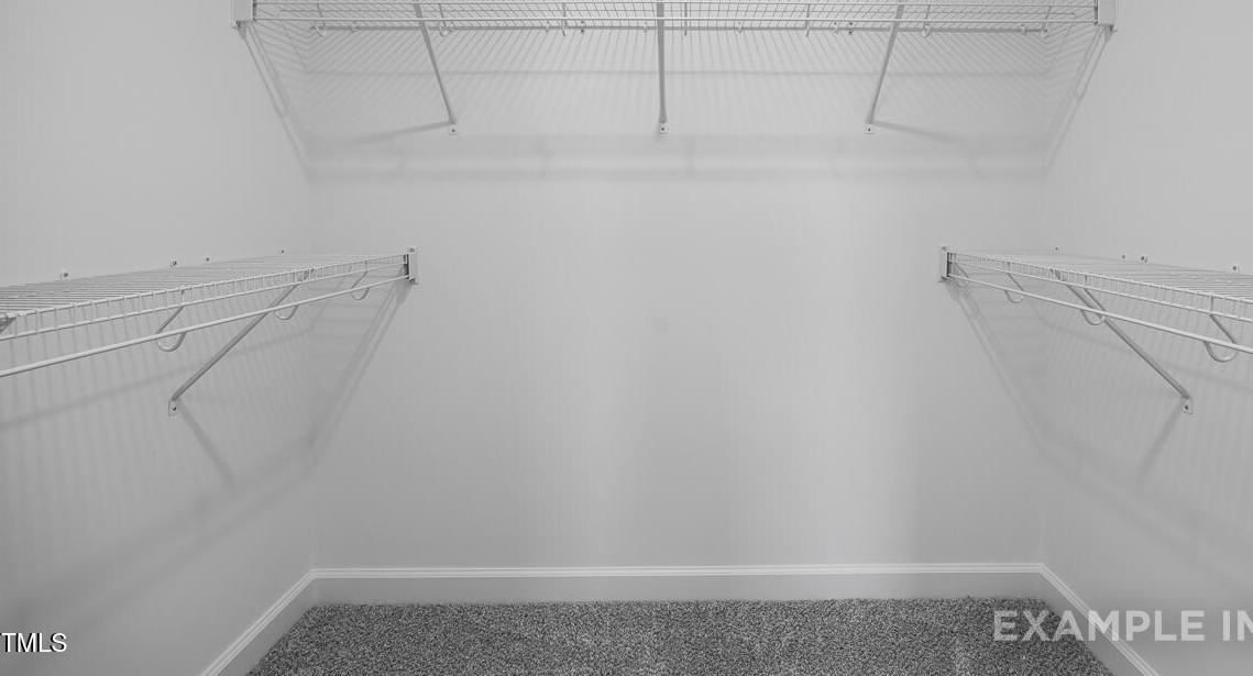 Photo #31