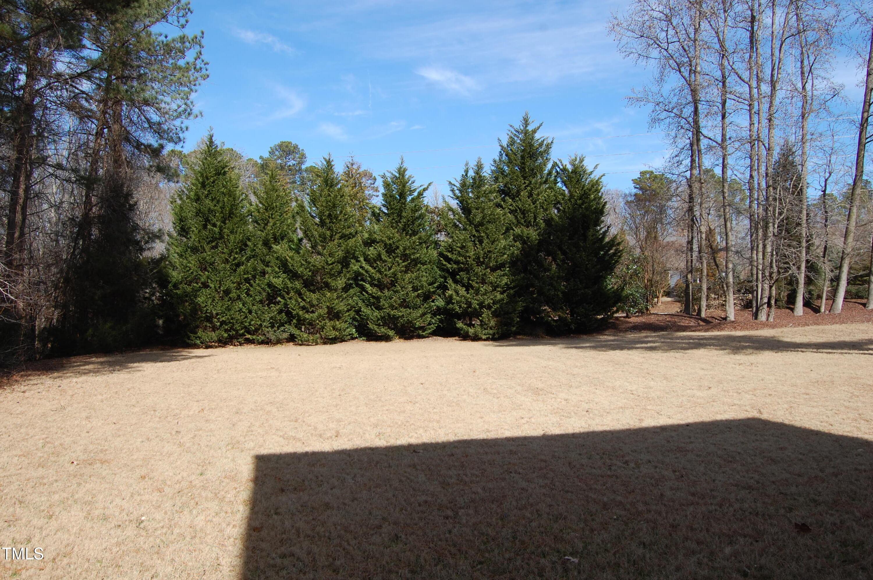 Photo #36
