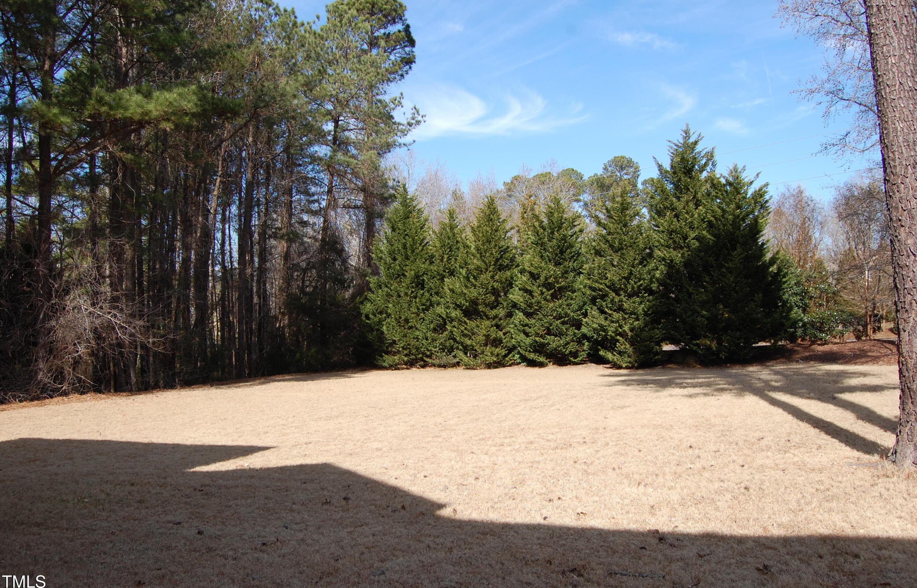 Photo #35