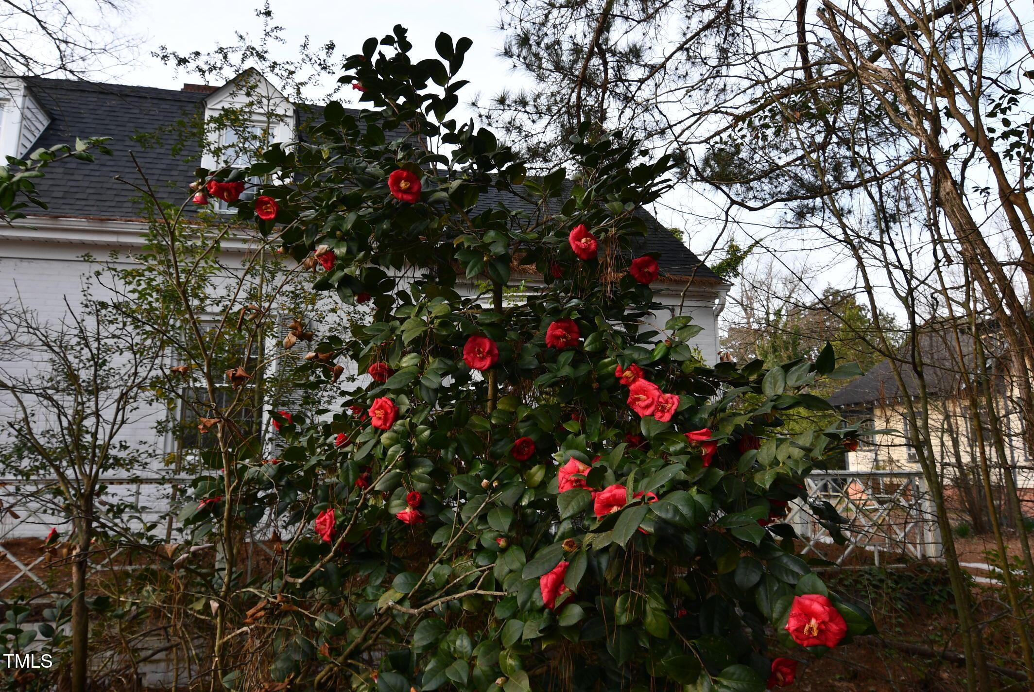 Photo #46