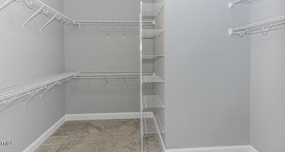 Photo #42