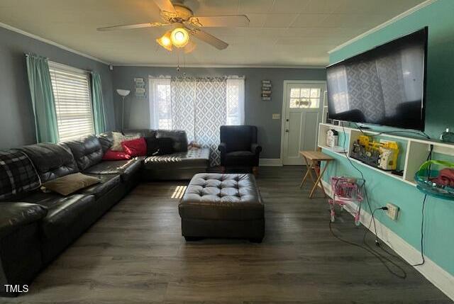 Photo #4