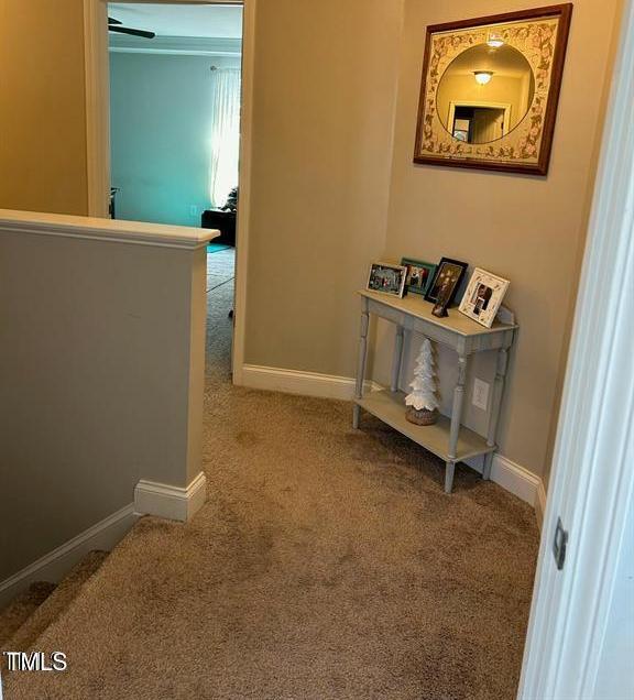 Photo #28
